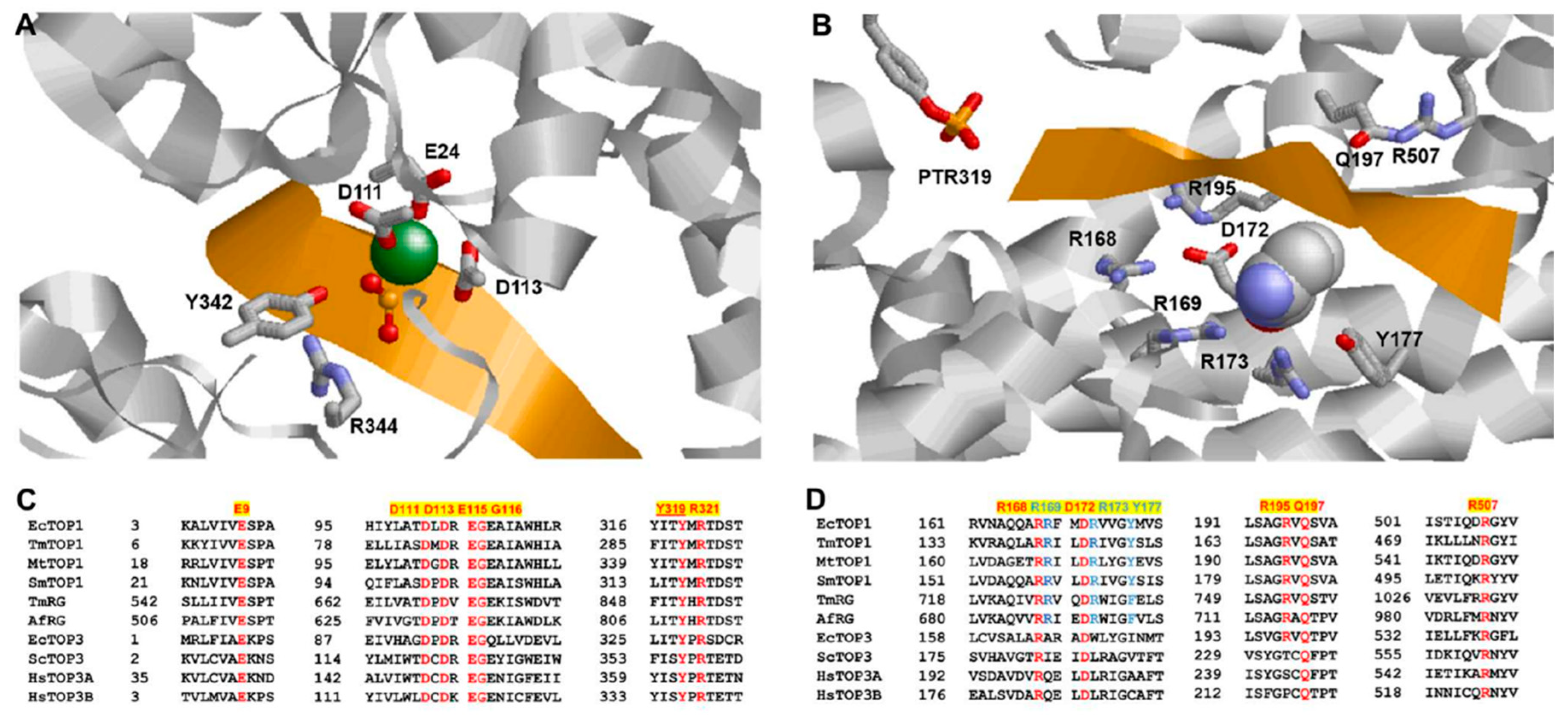 Molecules 25 04769 g003