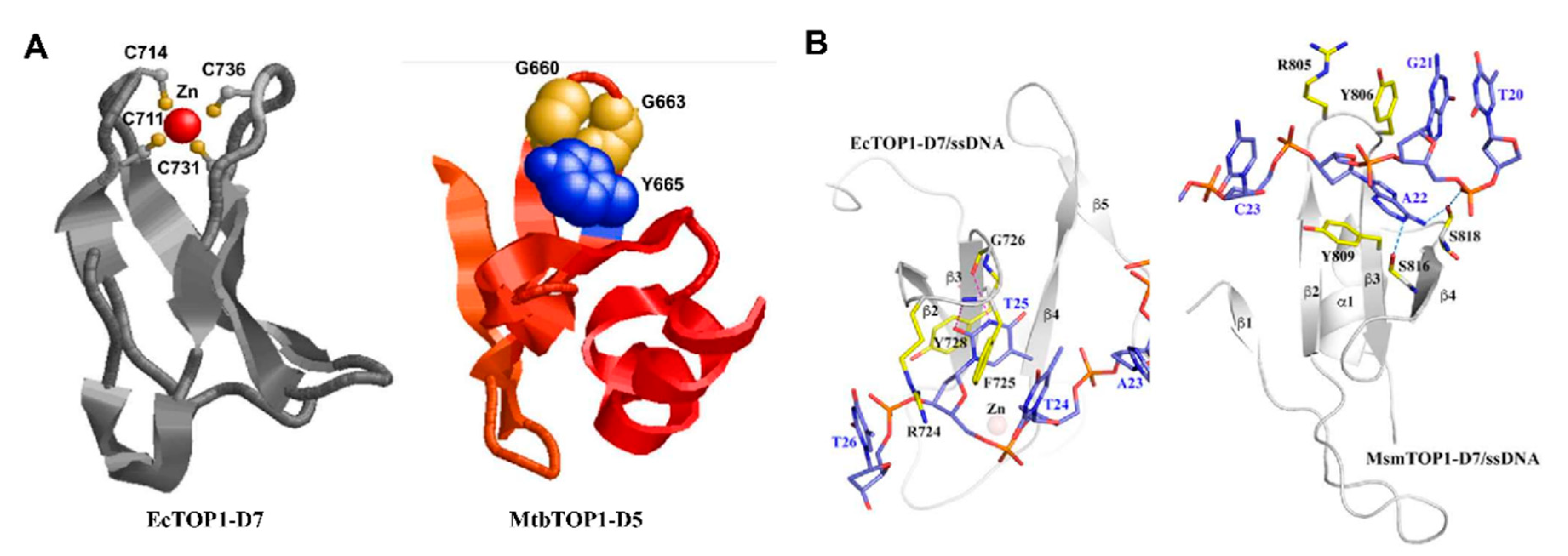 Molecules 25 04769 g004