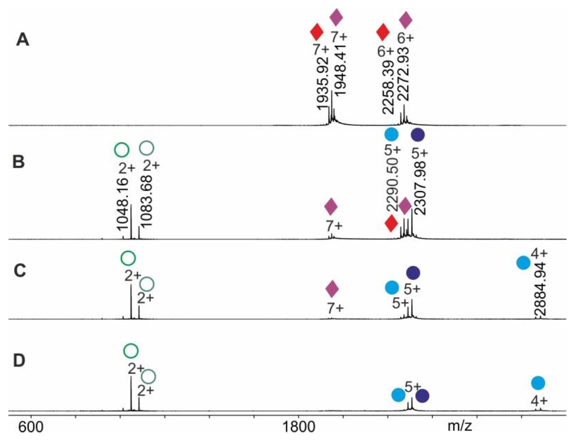 Molecules 25 04776 g005 Molecules 25 04776 g005