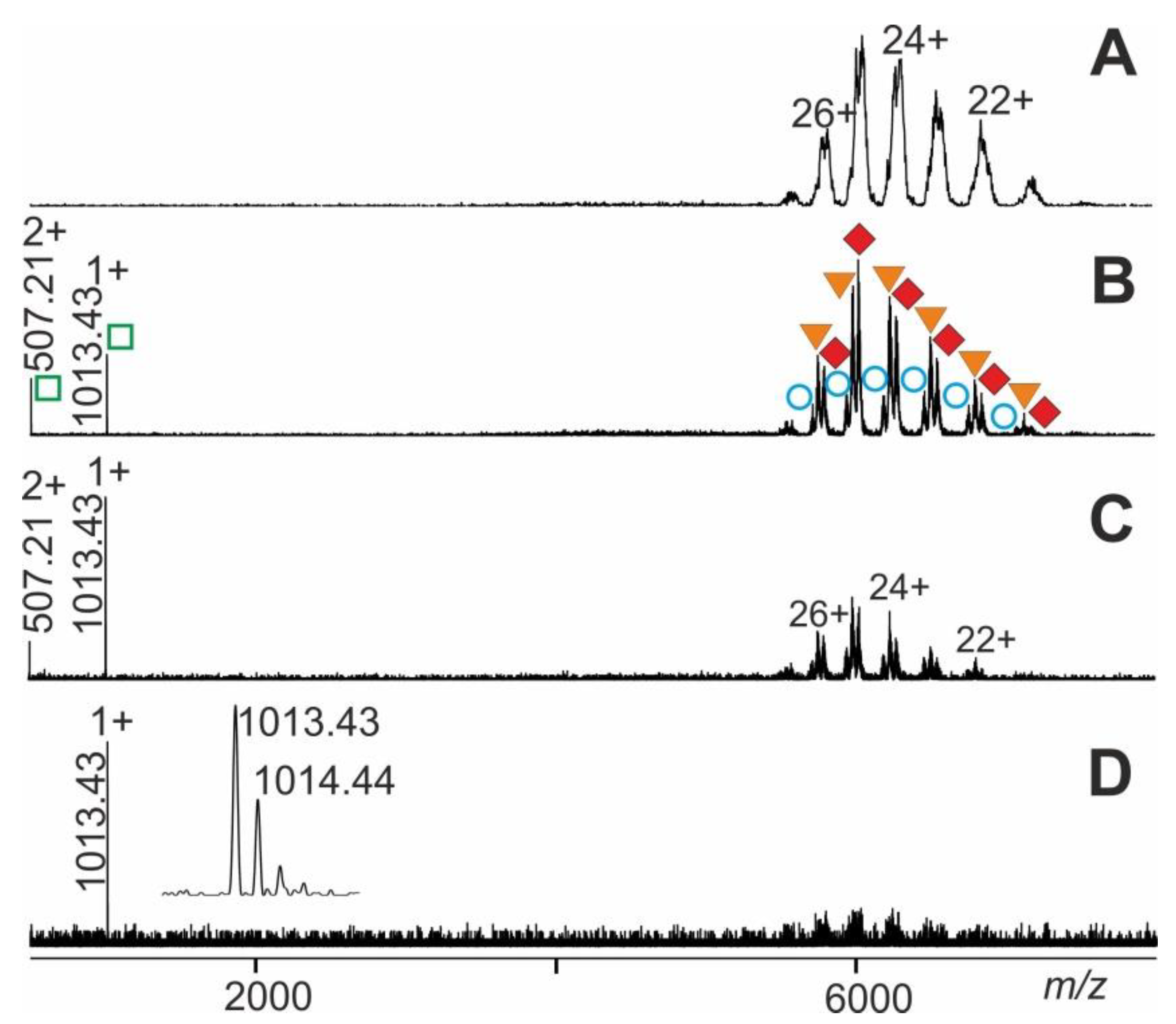 Molecules 25 04776 g006 Molecules 25 04776 g006