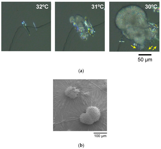 Molecules 25 04786 g001a Molecules 25 04786 g001a