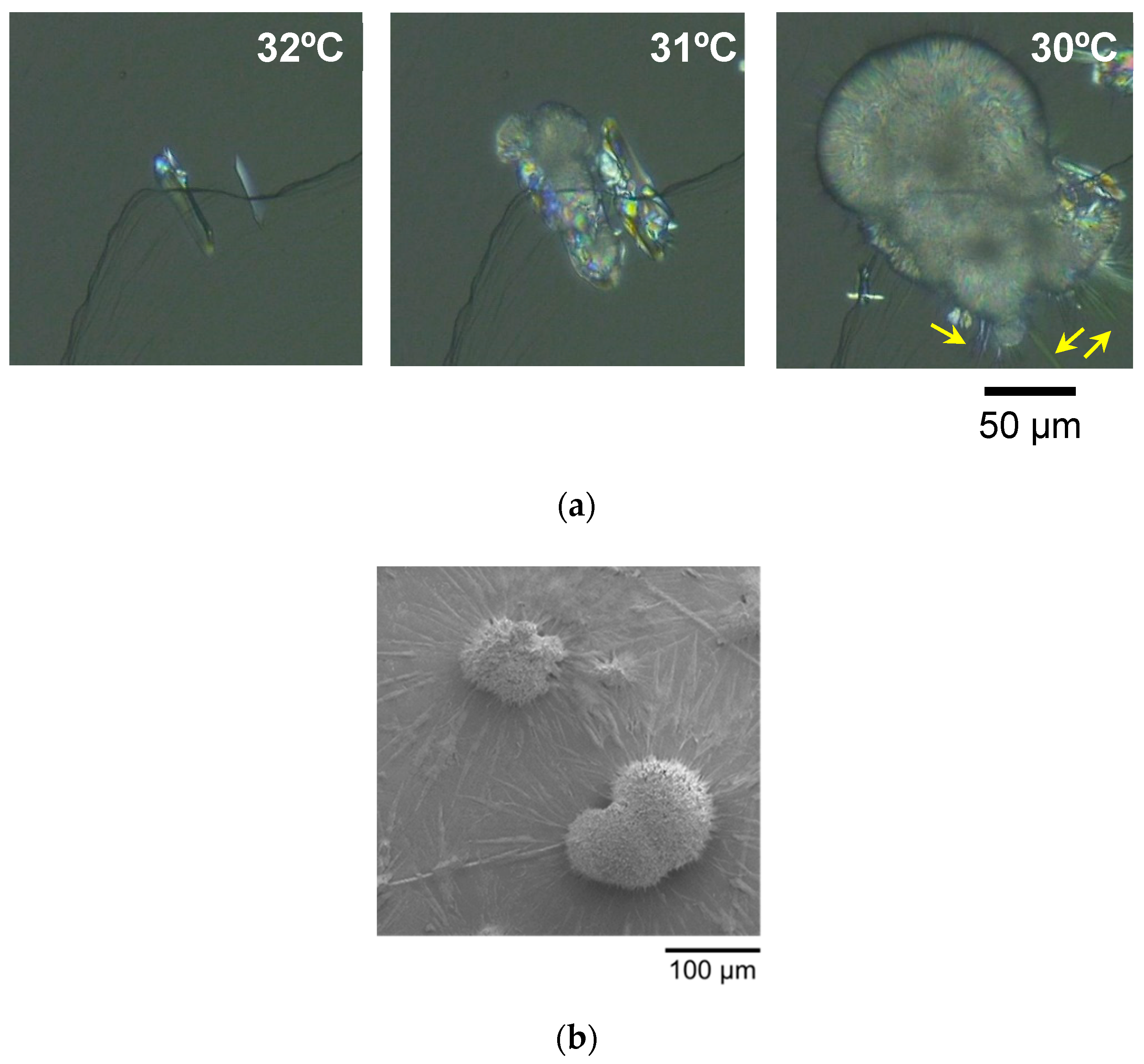 Molecules 25 04786 g001a Molecules 25 04786 g001a