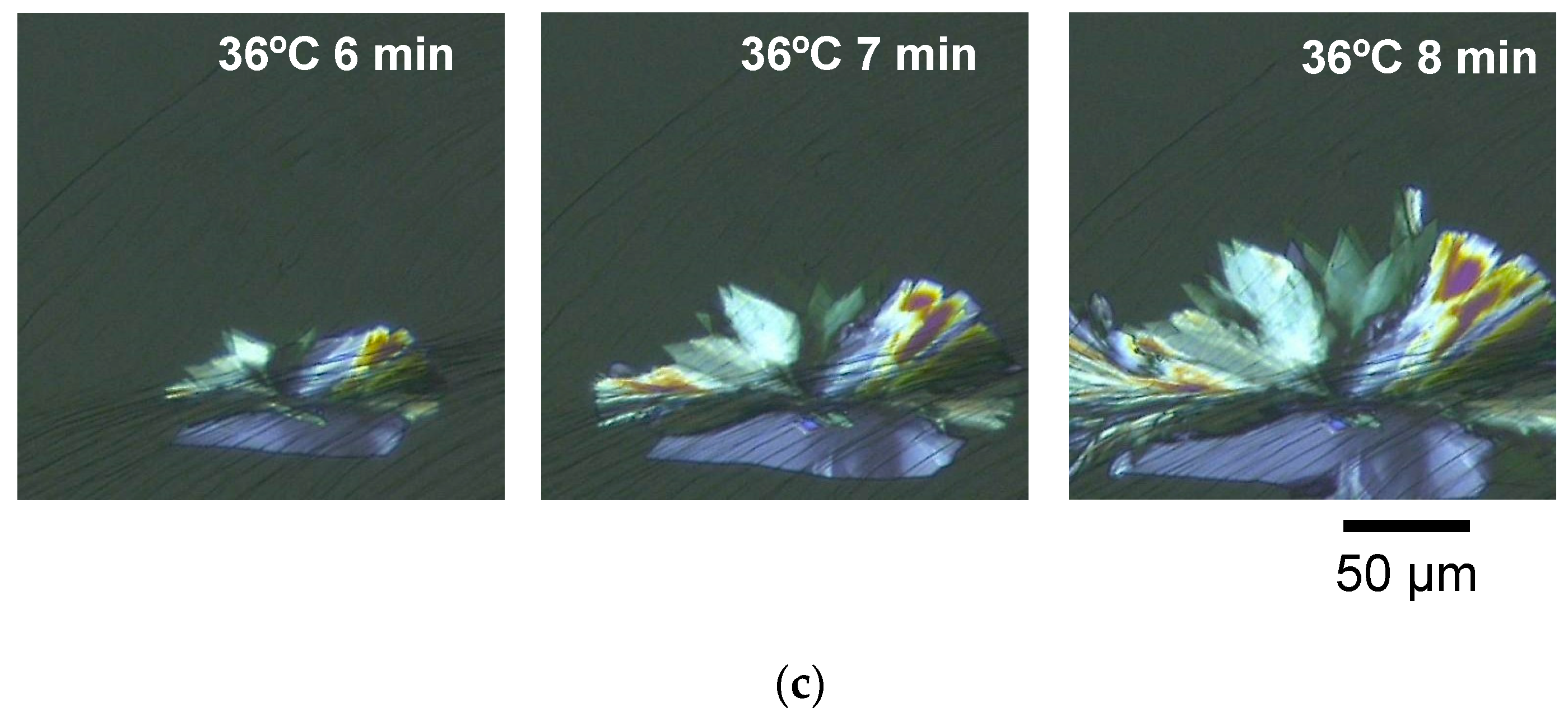 Molecules 25 04786 g001b Molecules 25 04786 g001b