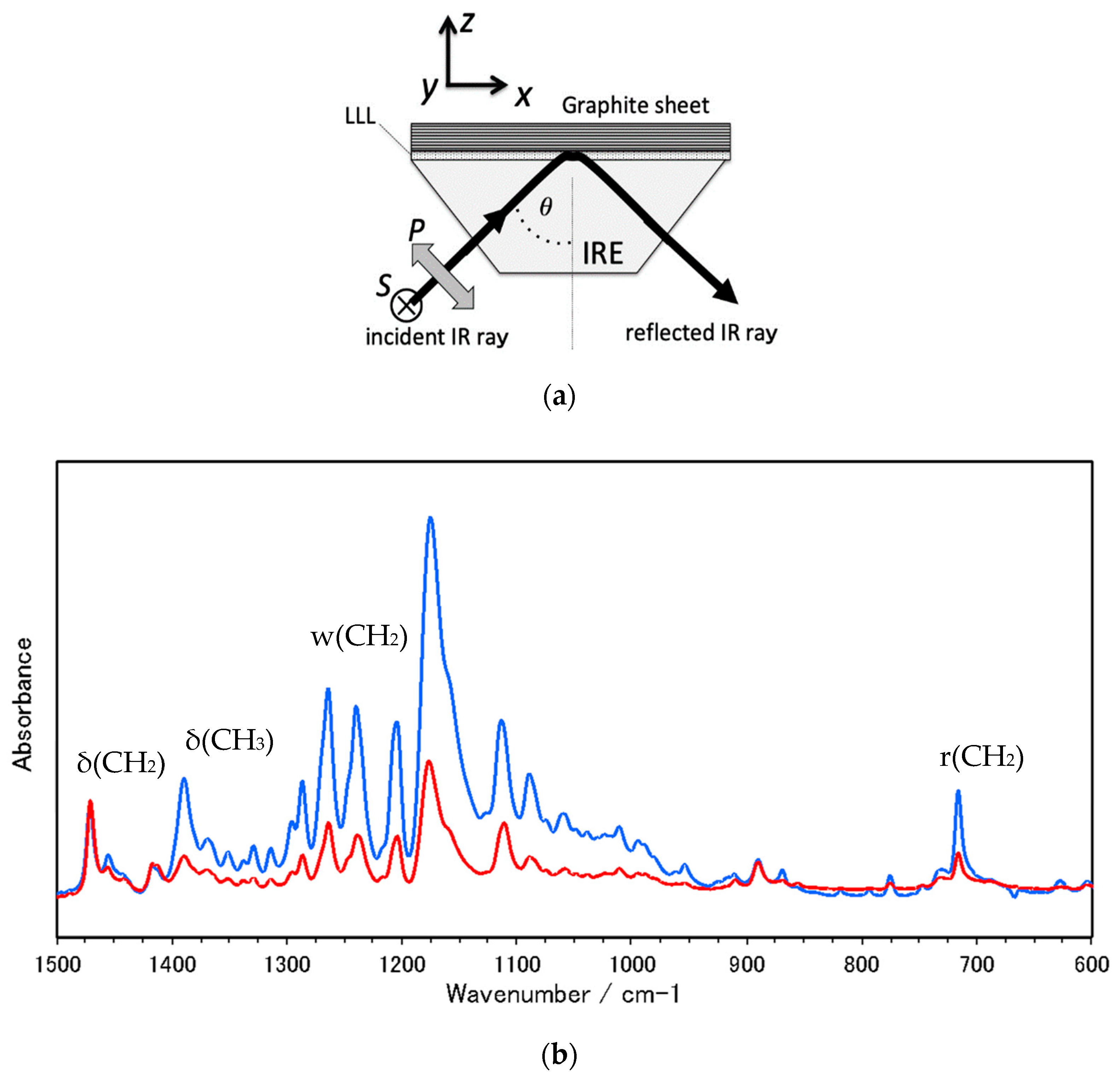 Molecules 25 04786 g003a Molecules 25 04786 g003a