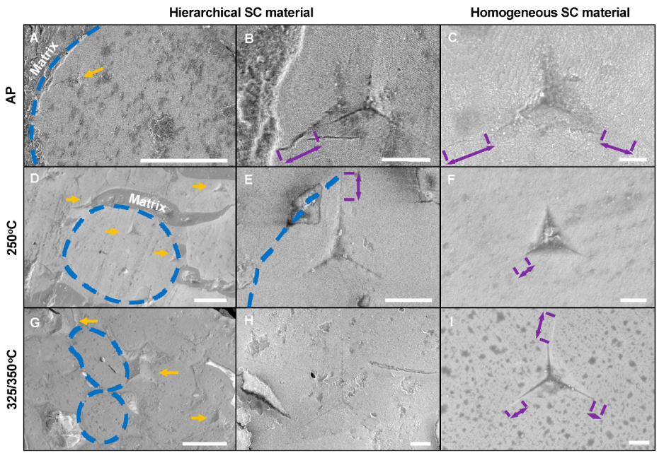Molecules 25 04790 g004 Molecules 25 04790 g004