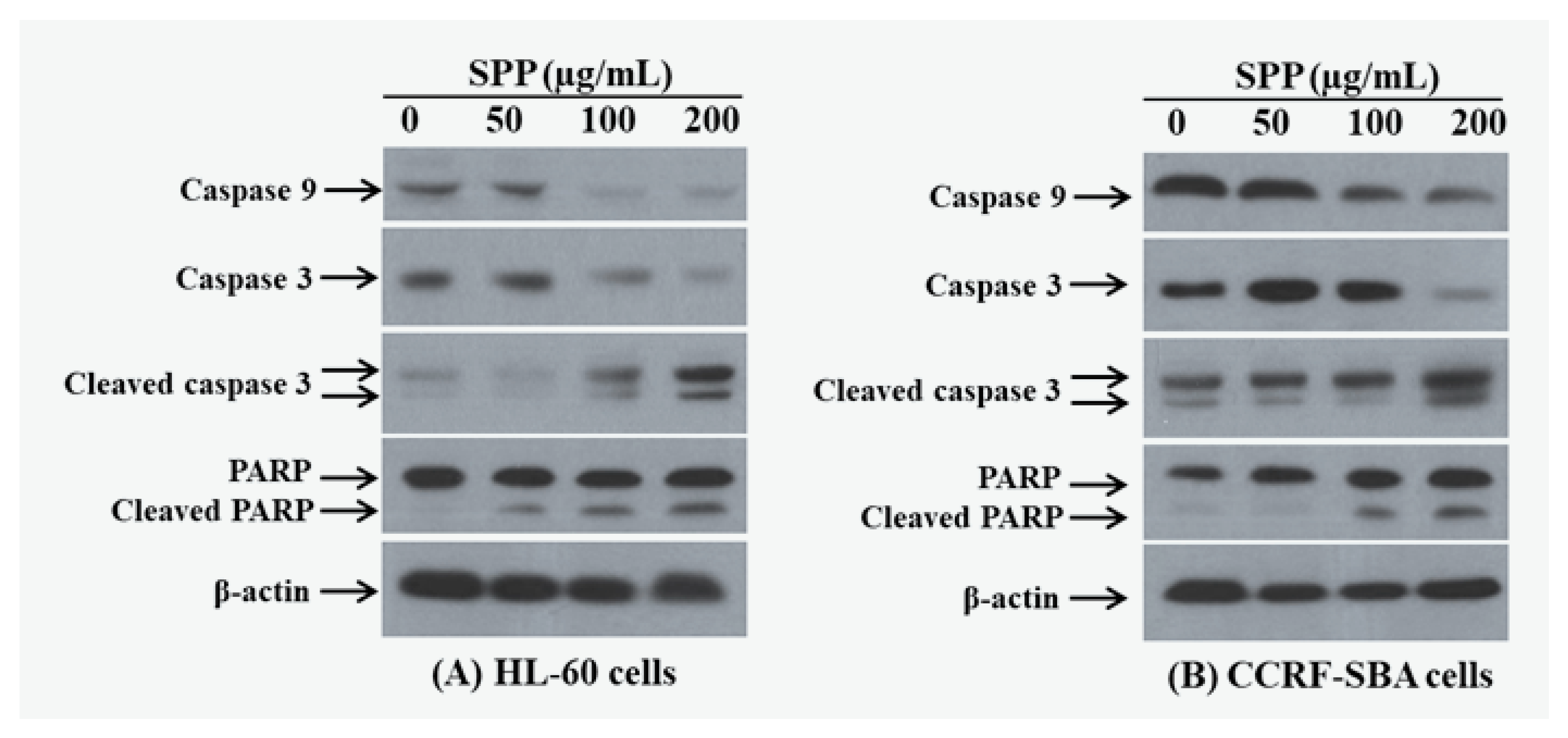 Molecules 25 04800 g003