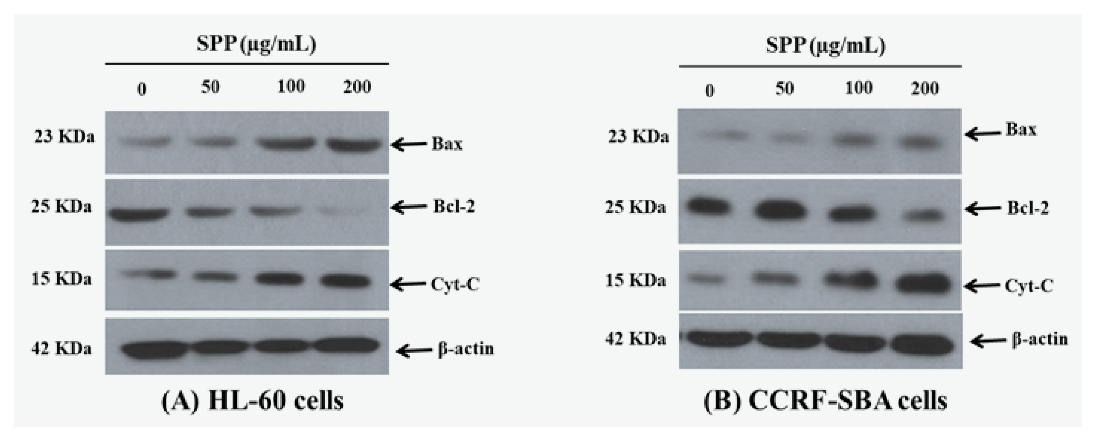 Molecules 25 04800 g004