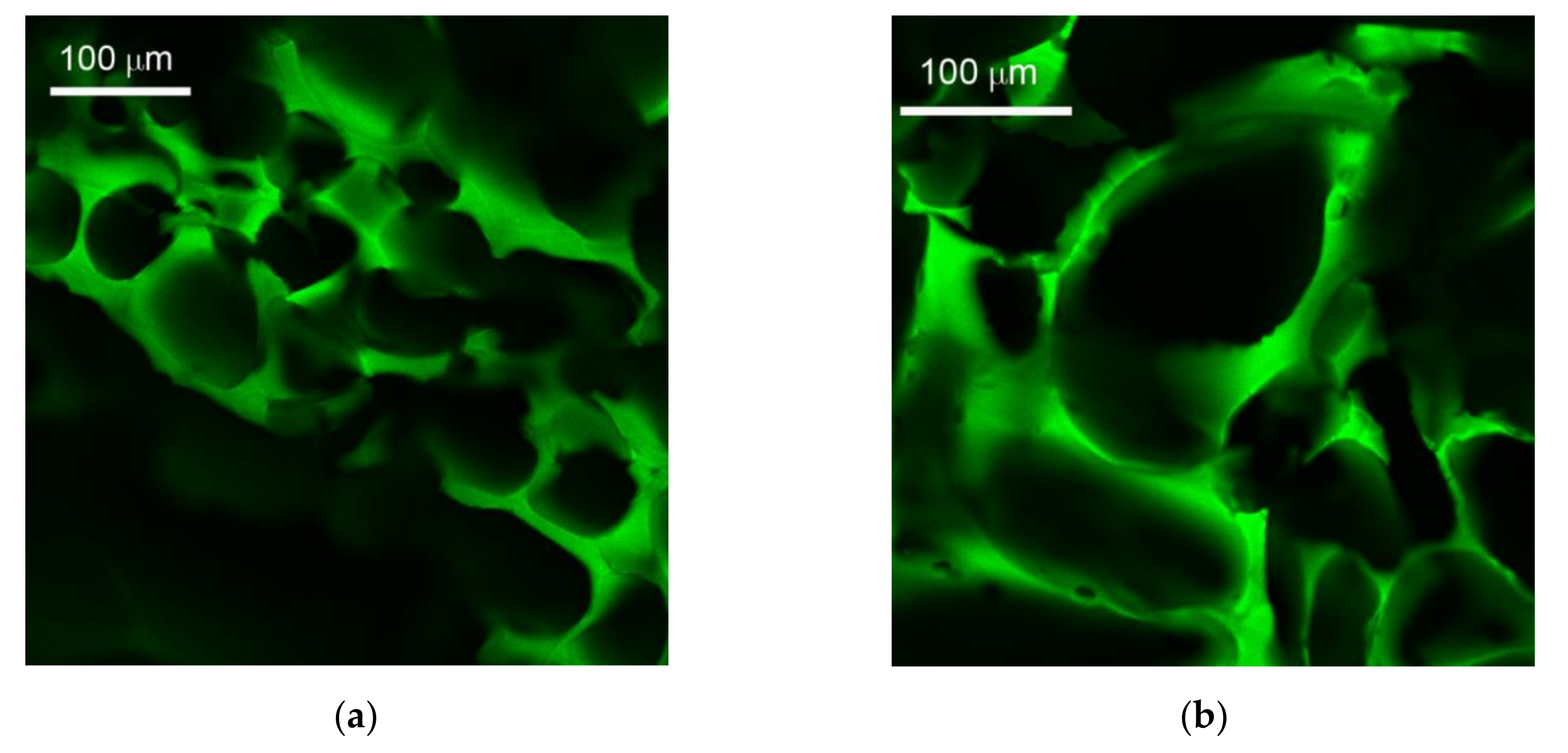 Molecules 25 04801 g003 Molecules 25 04801 g003