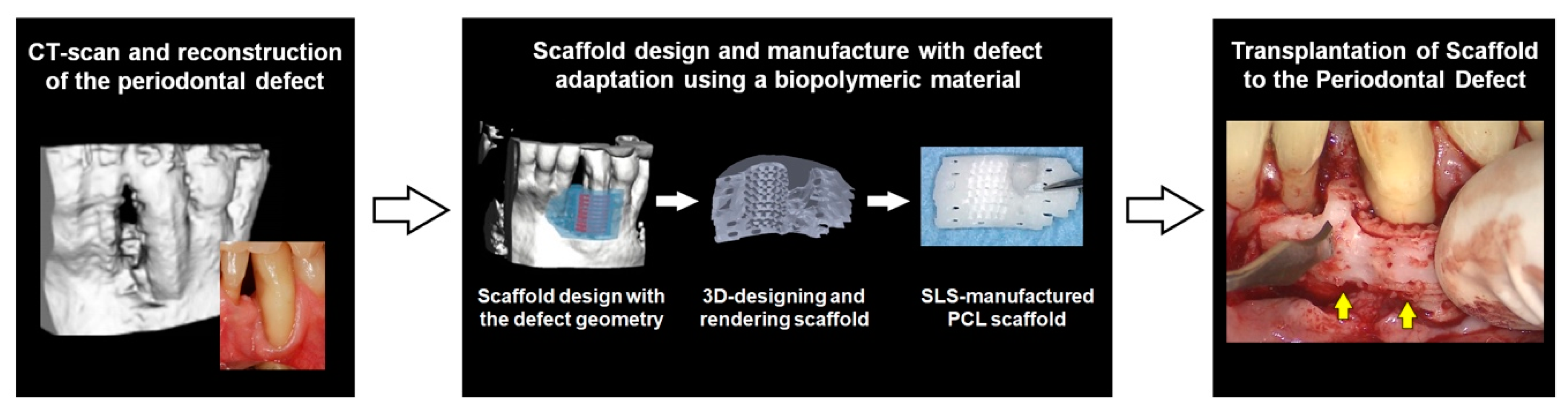 Molecules 25 04802 g005 Molecules 25 04802 g005