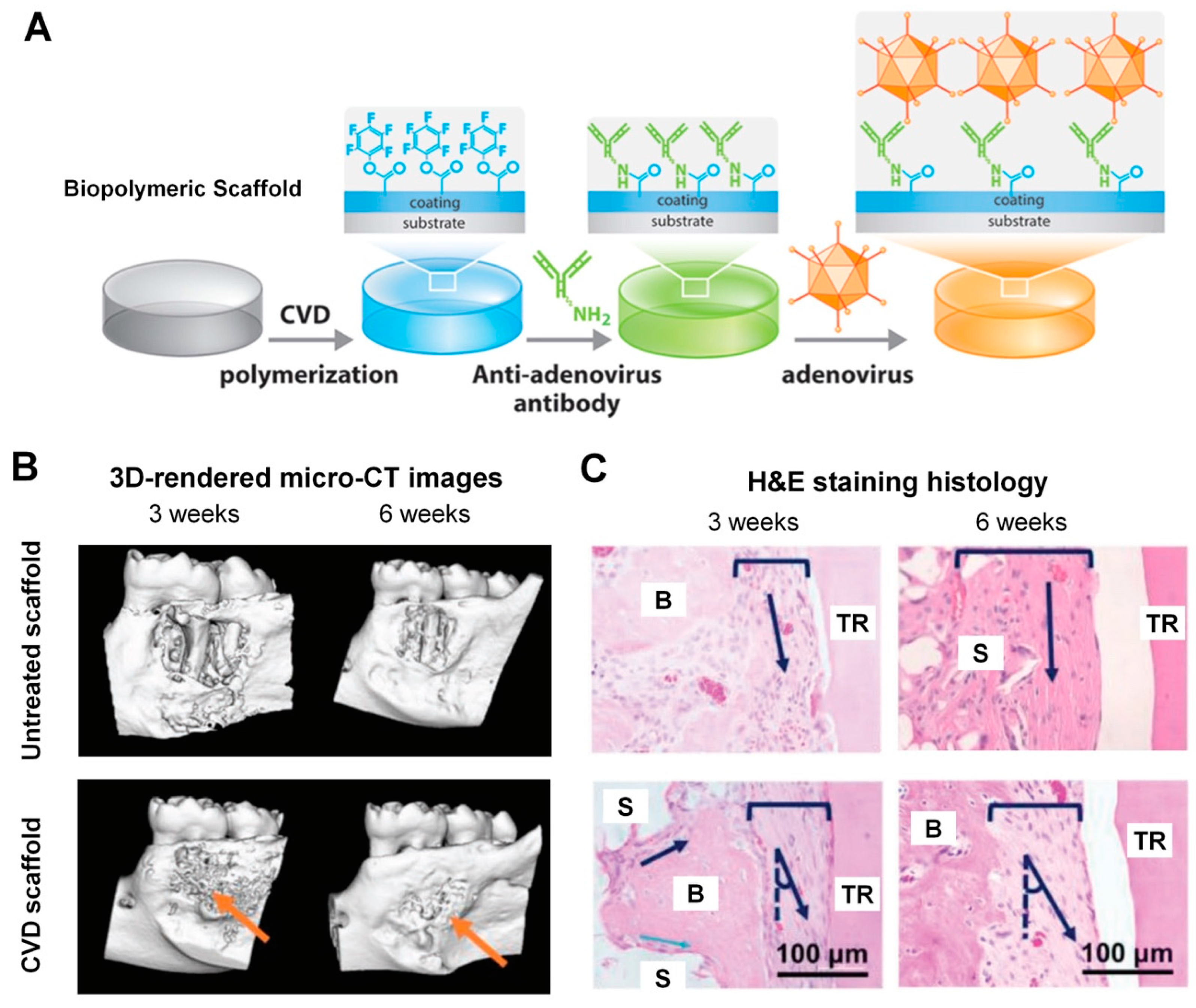 Molecules 25 04802 g006 Molecules 25 04802 g006