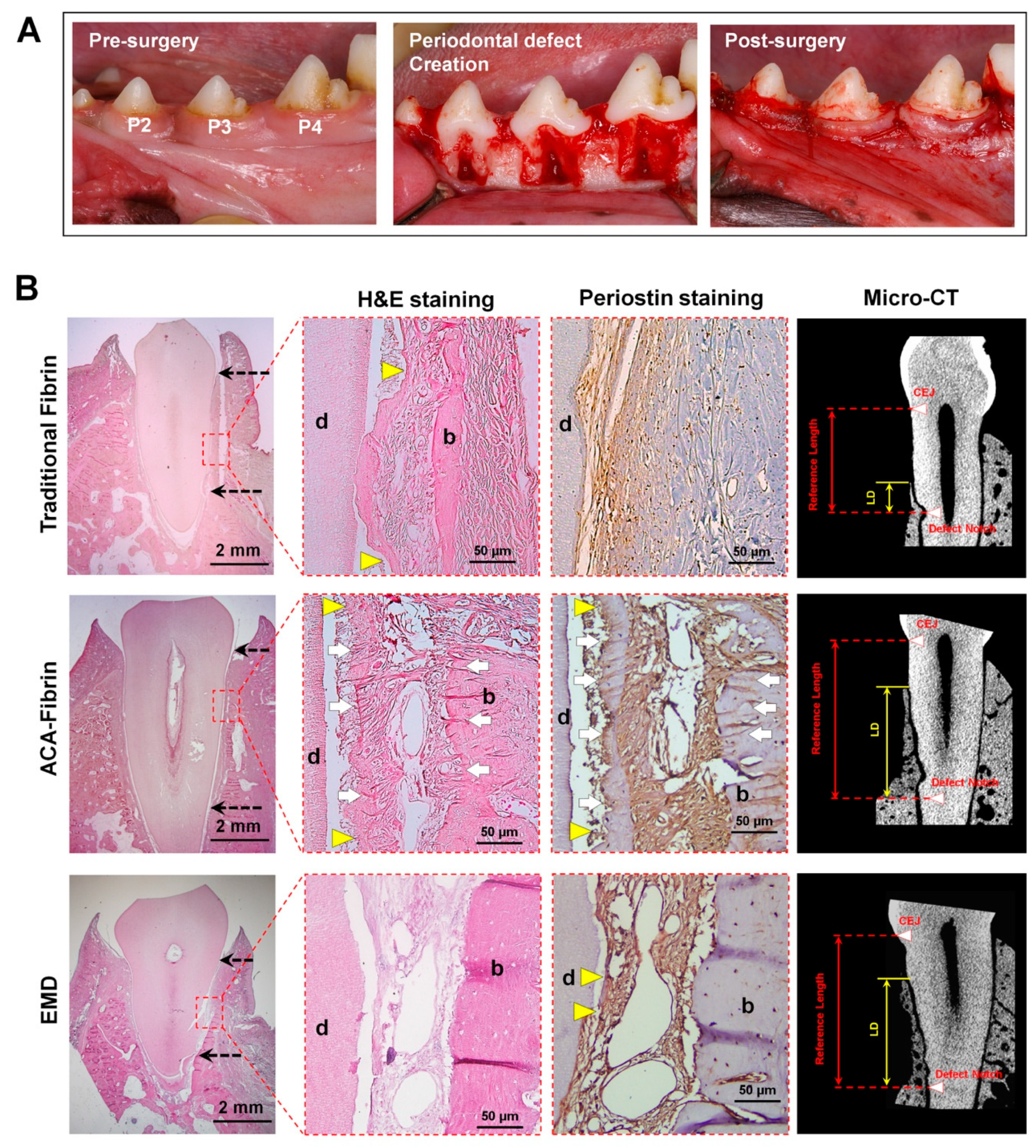Molecules 25 04802 g007 Molecules 25 04802 g007