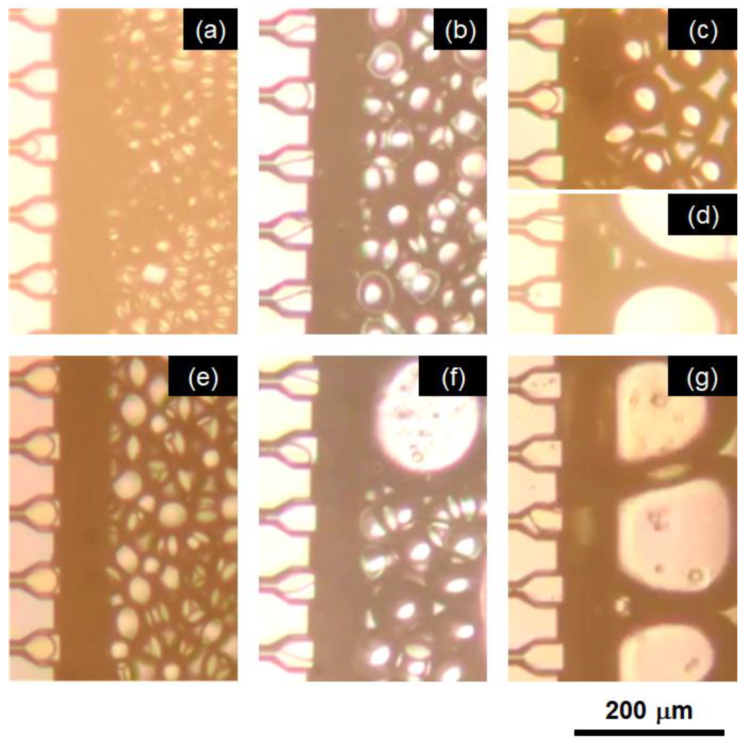 Molecules 25 04805 g001 Molecules 25 04805 g001