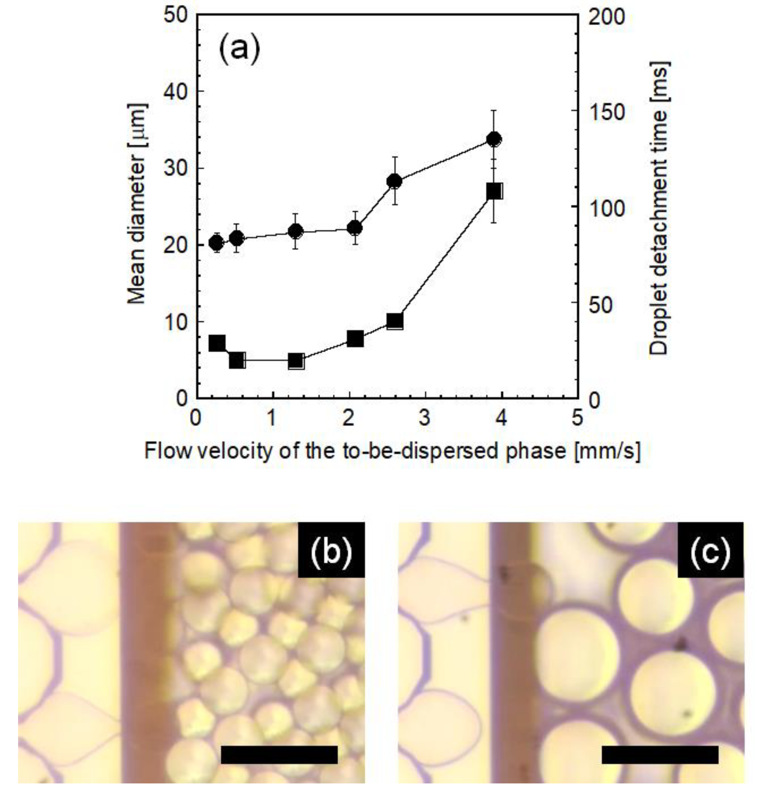 Molecules 25 04805 g007 Molecules 25 04805 g007
