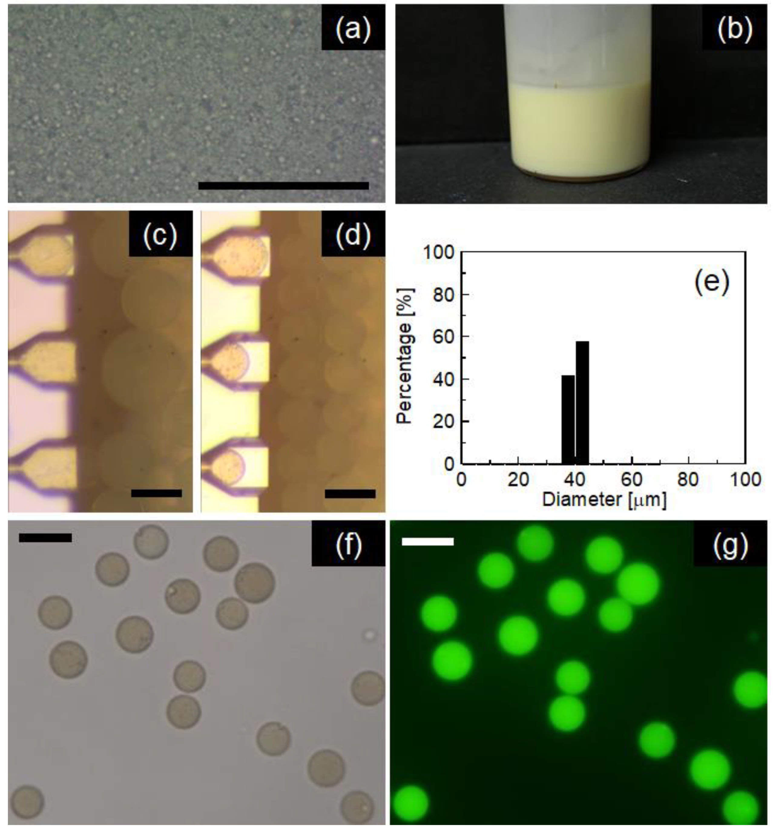 Molecules 25 04805 g008 Molecules 25 04805 g008