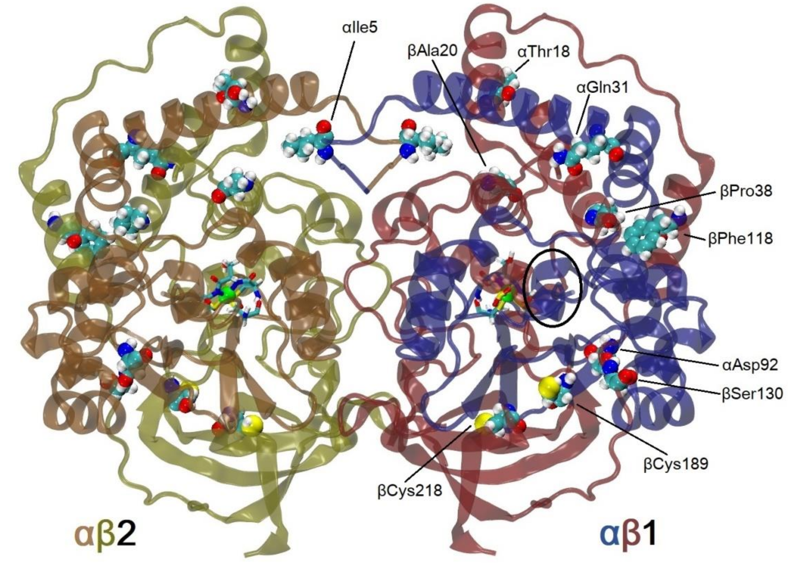 Molecules 25 04806 g001