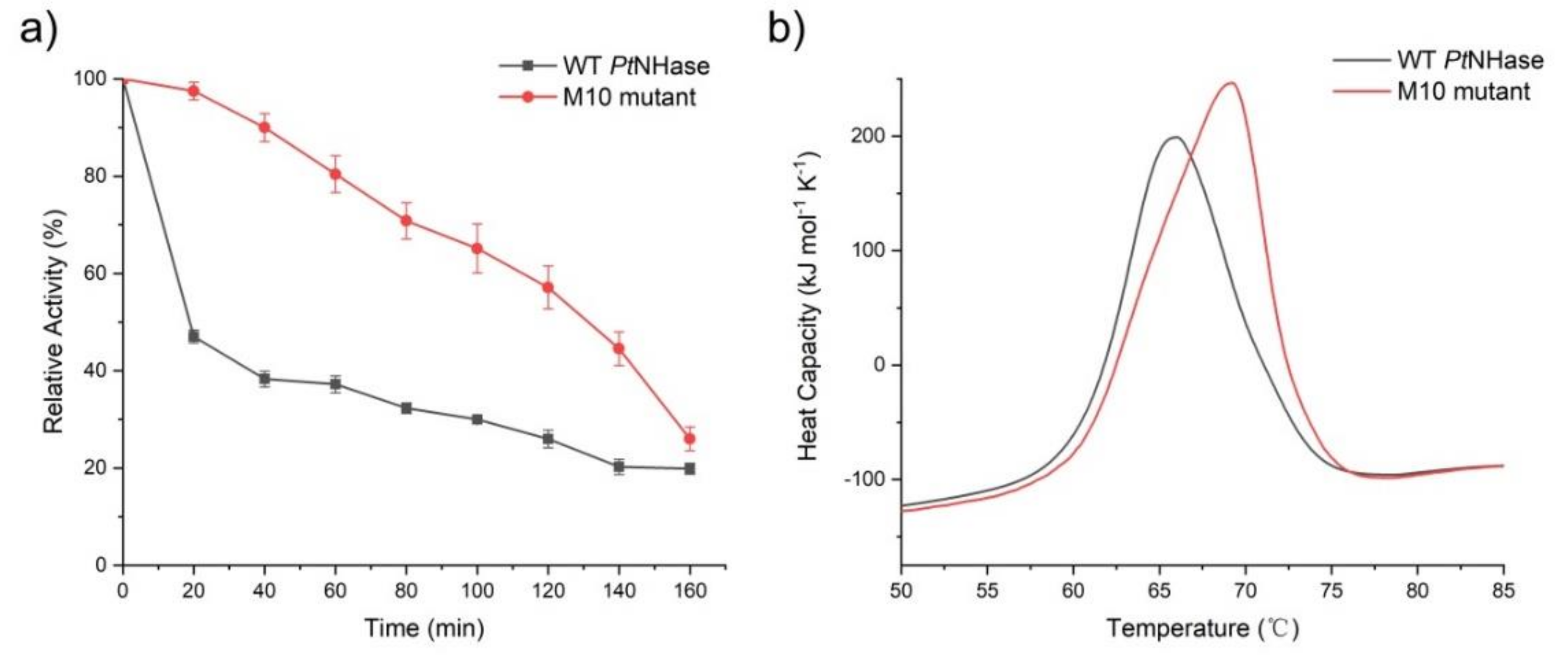Molecules 25 04806 g003