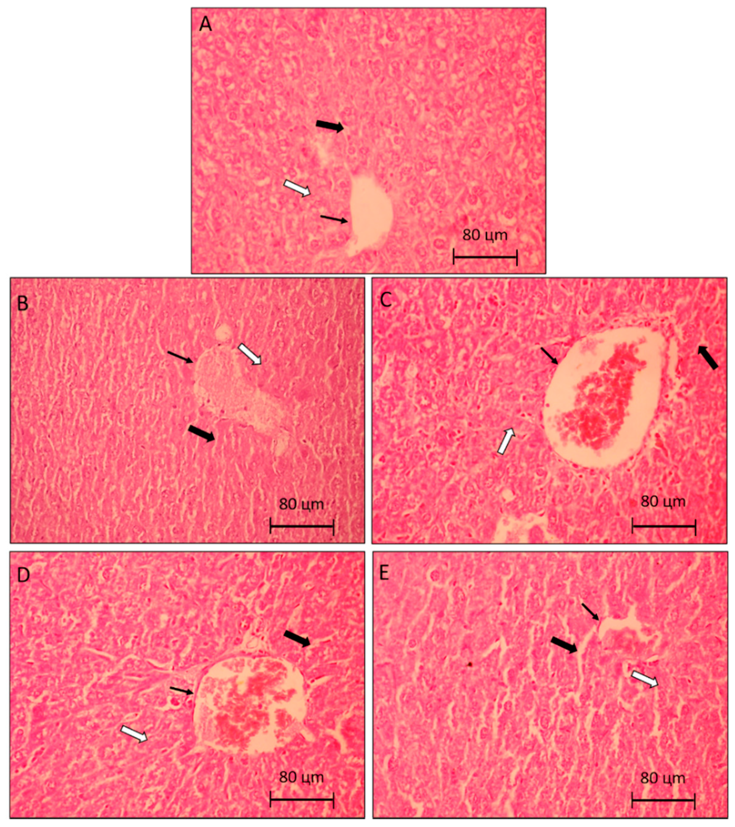 Molecules 25 04814 g004 Molecules 25 04814 g004