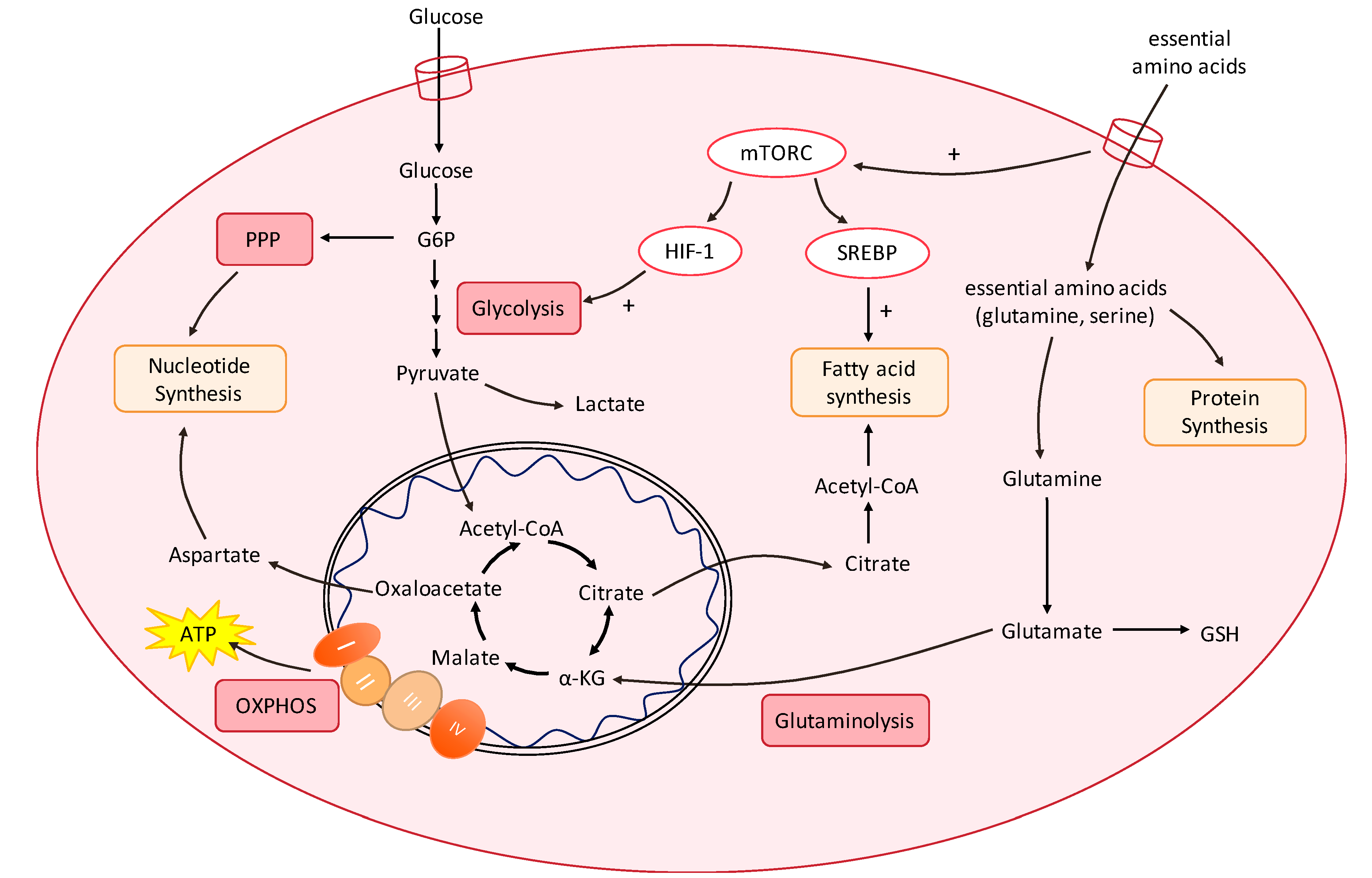 Molecules 25 04831 g001 Molecules 25 04831 g001