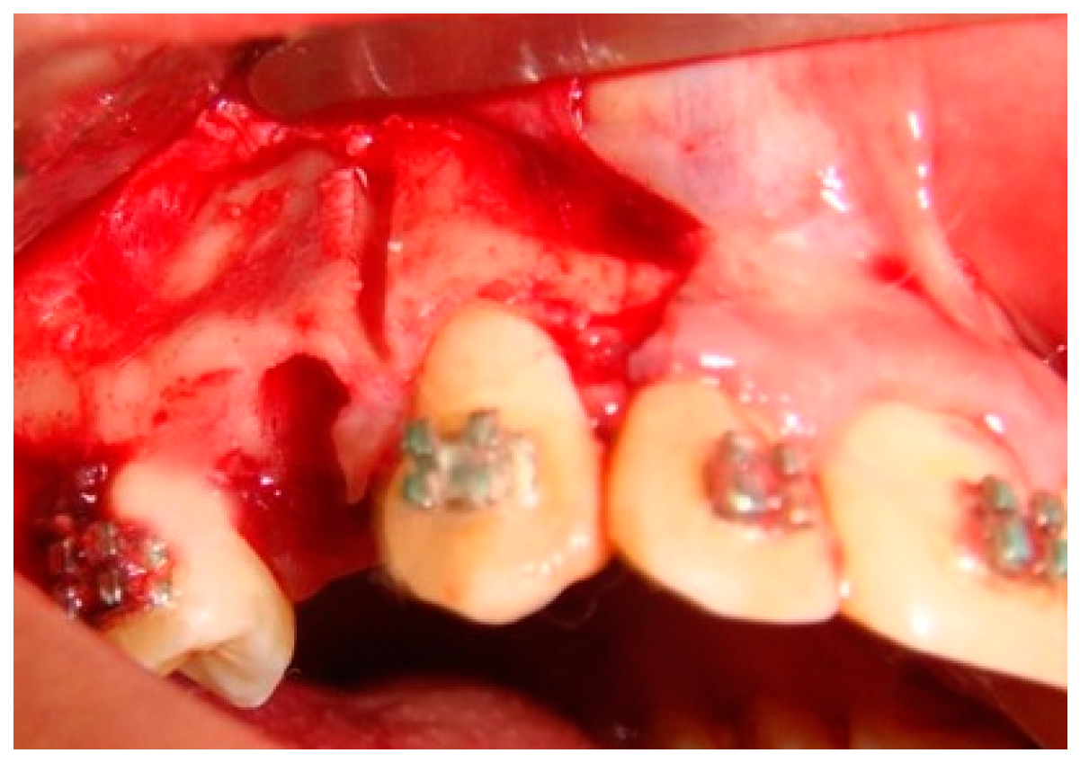 Molecules 25 04837 g001 Molecules 25 04837 g001