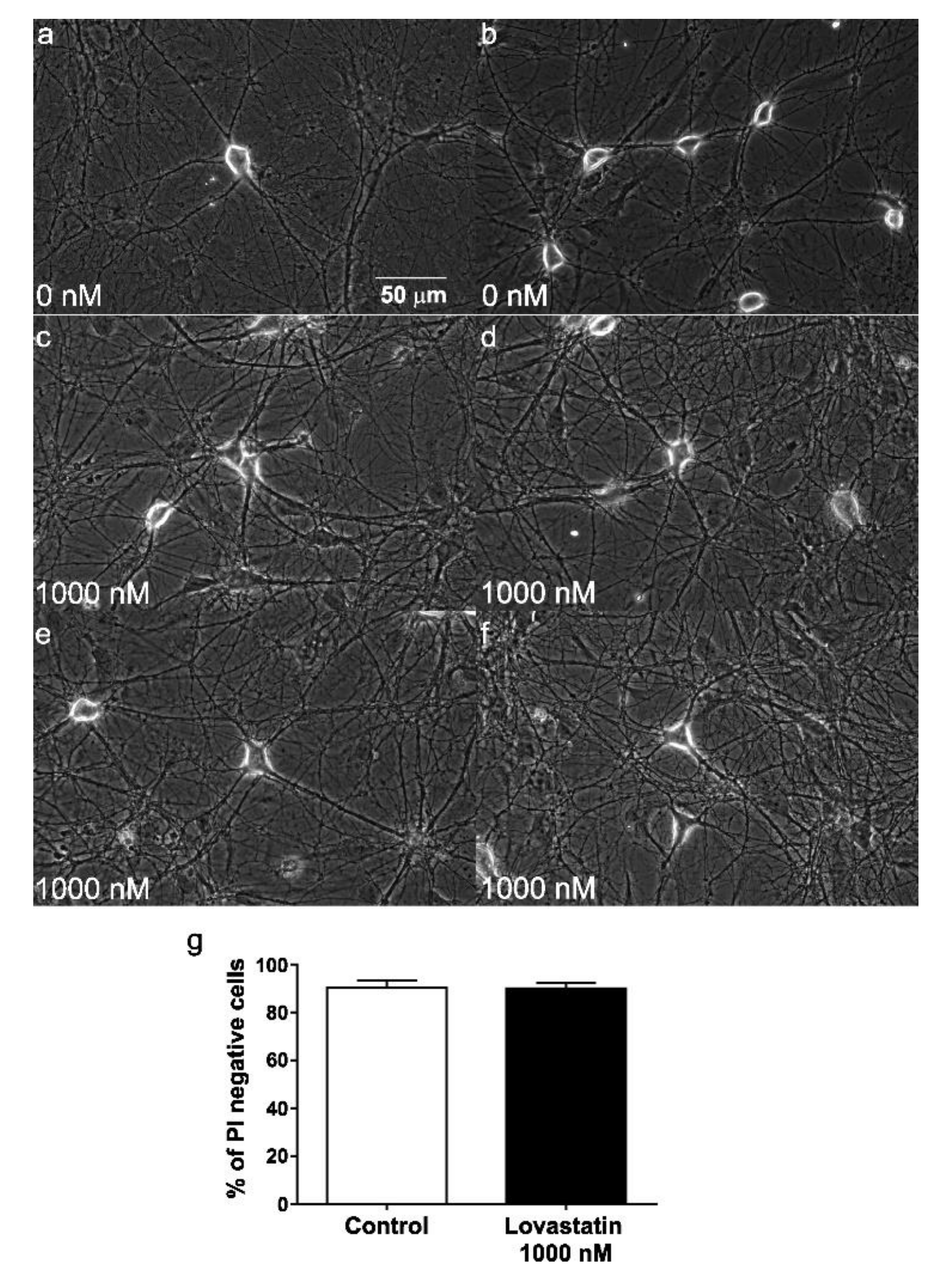 Molecules 25 04838 g002 Molecules 25 04838 g002