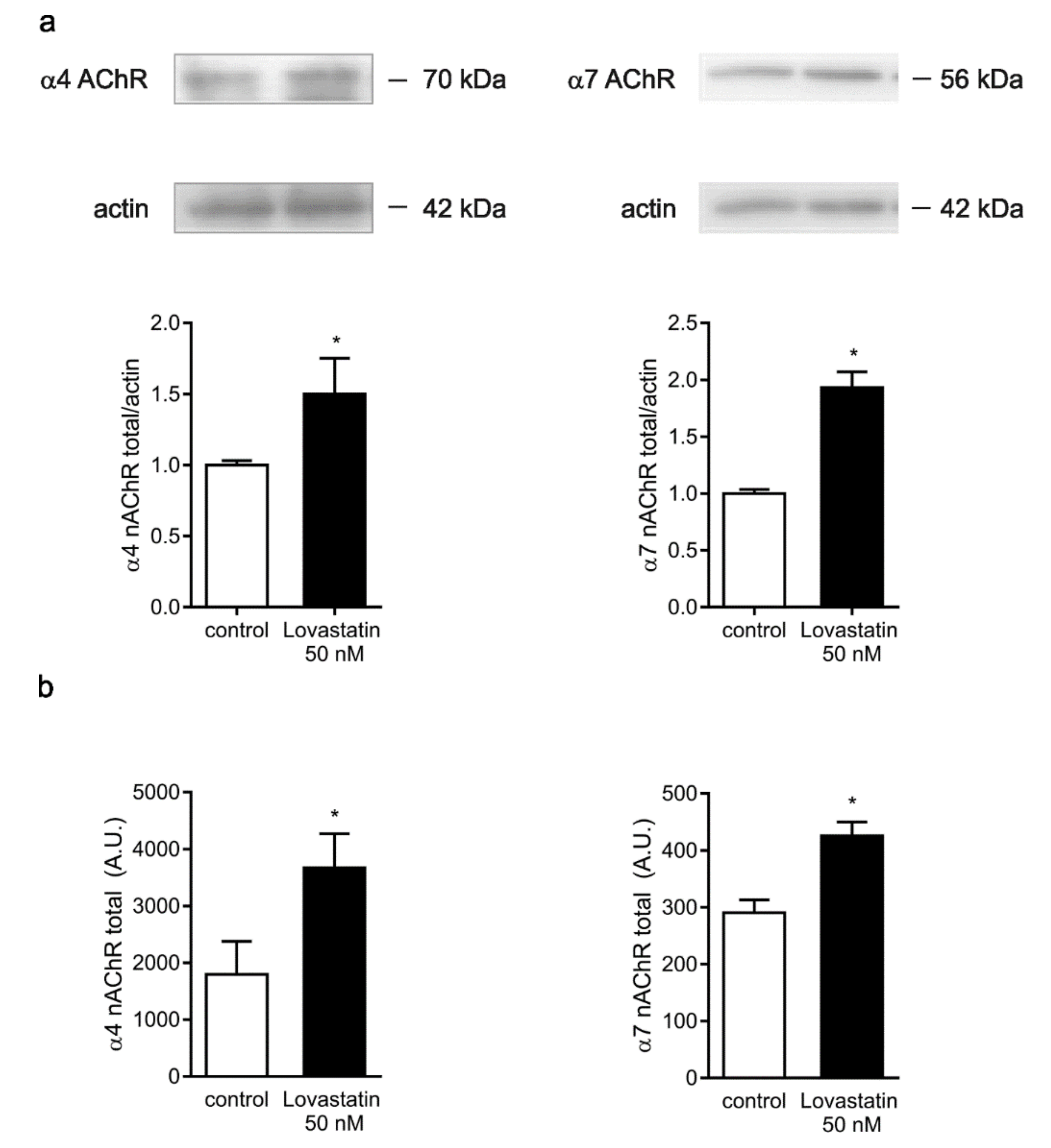 Molecules 25 04838 g007 Molecules 25 04838 g007