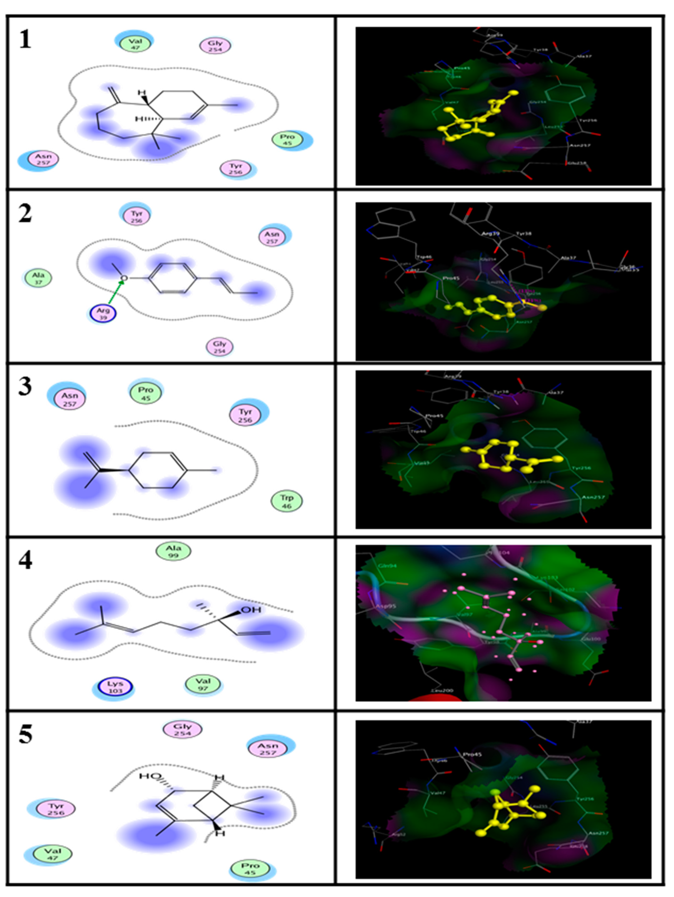 Molecules 25 04841 g005
