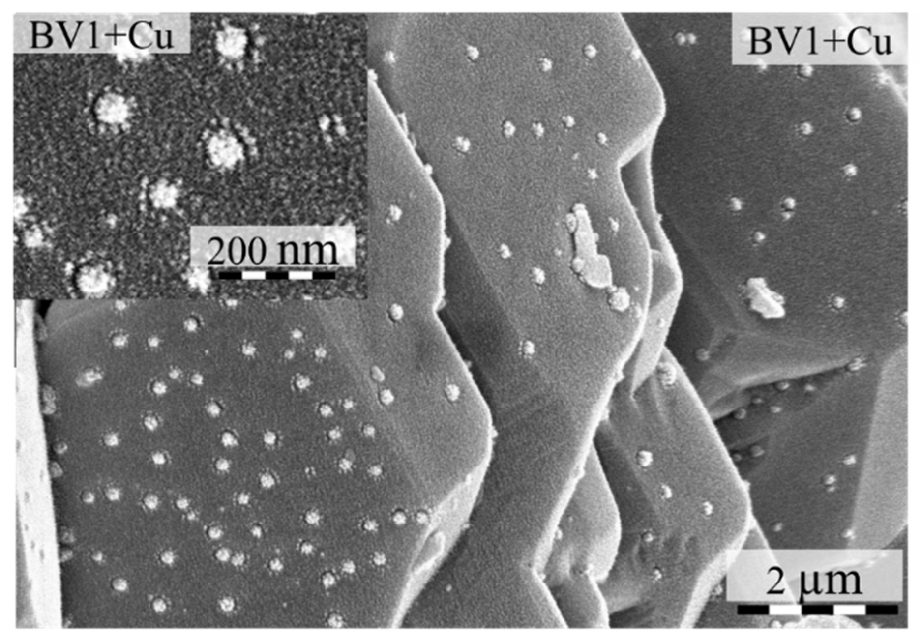 Molecules 25 04842 g006 Molecules 25 04842 g006
