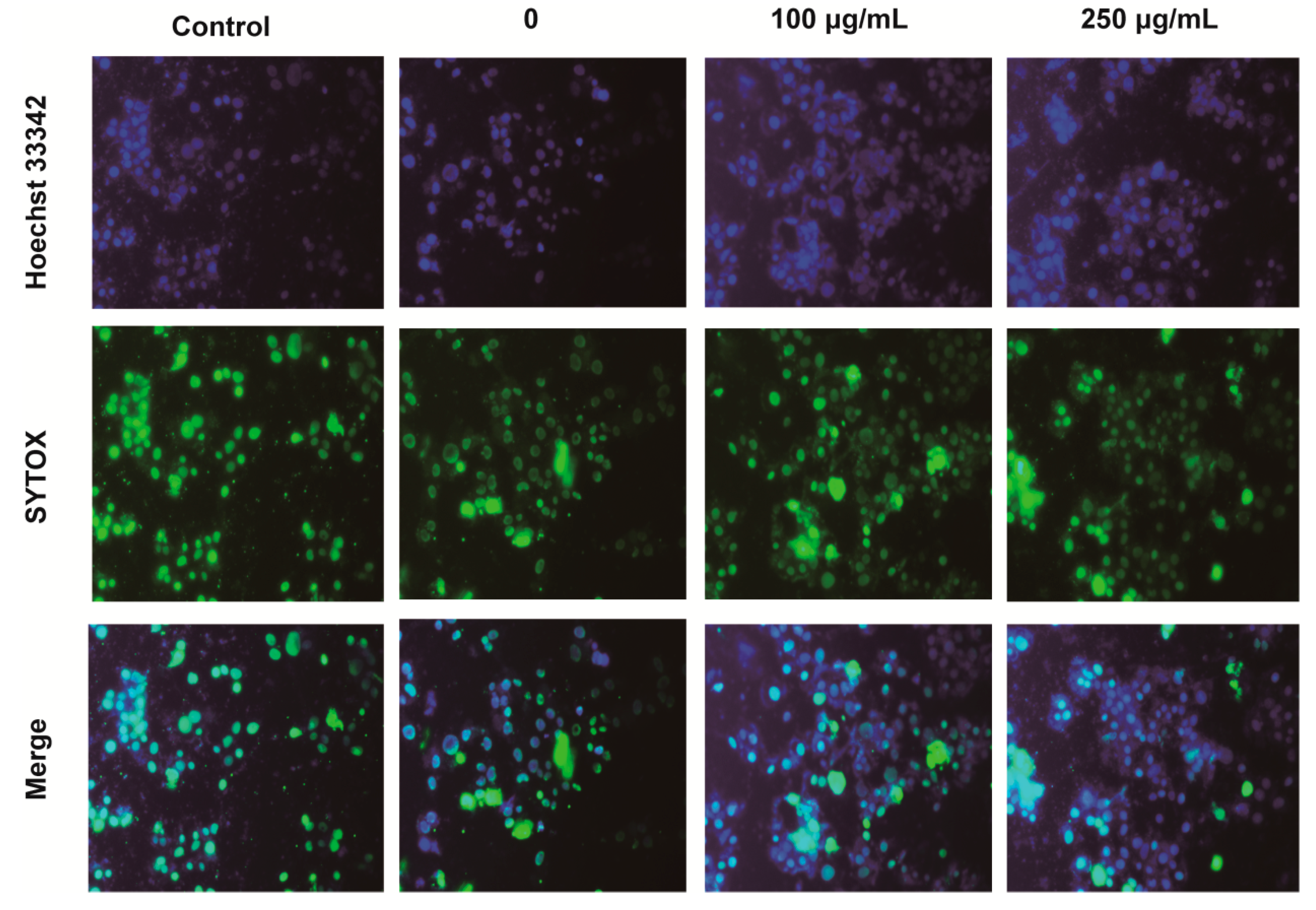 Molecules 25 04845 g003