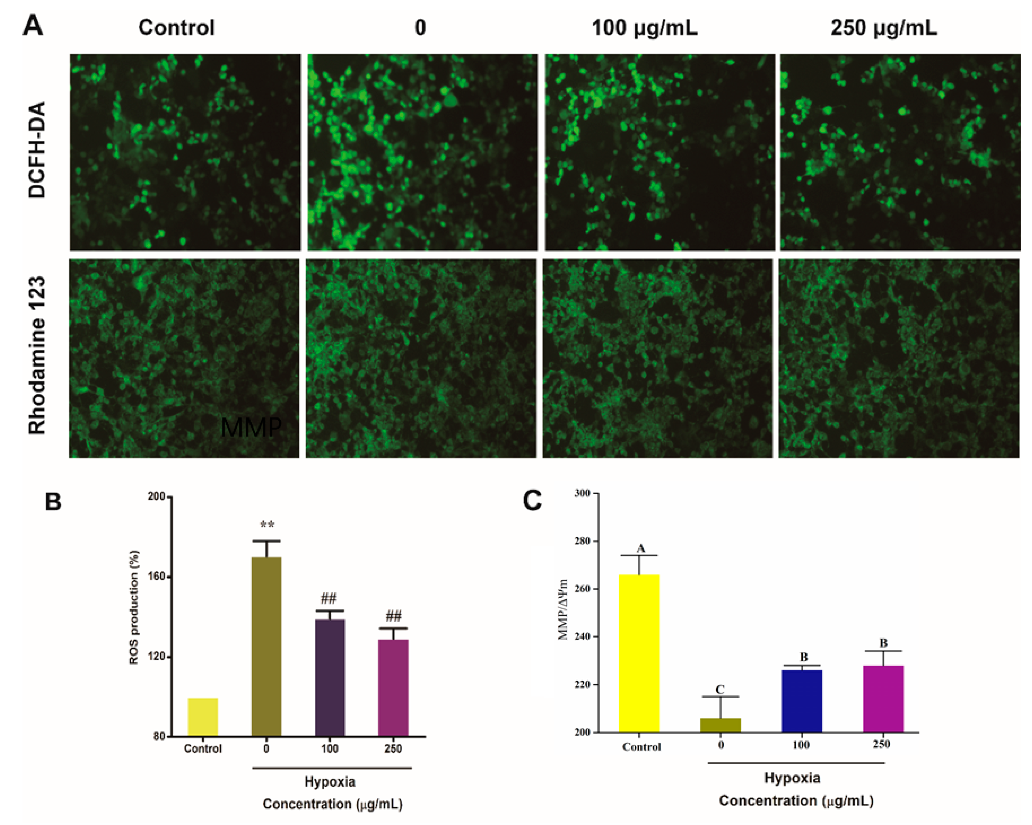 Molecules 25 04845 g004