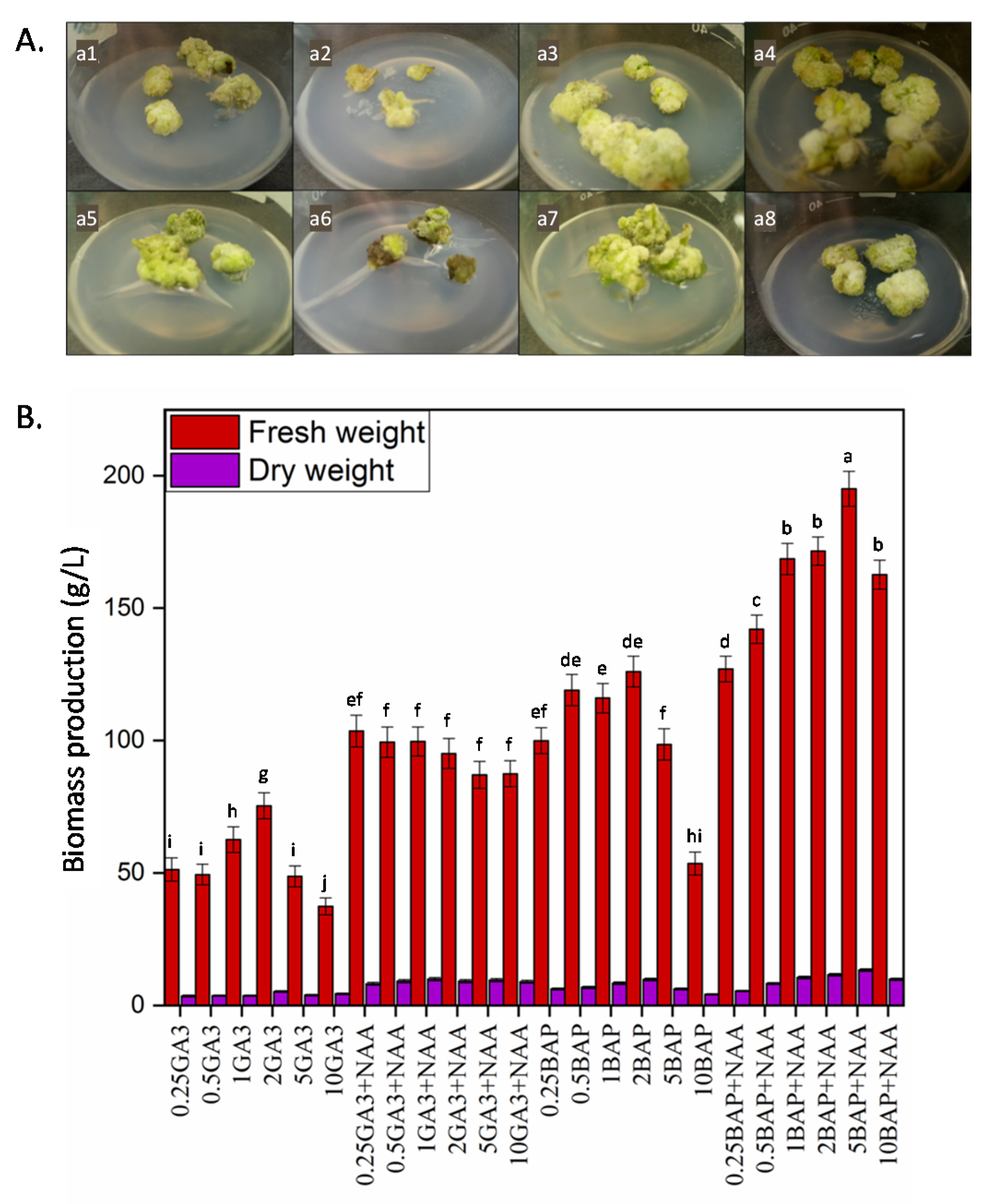 Molecules 25 04859 g001 Molecules 25 04859 g001
