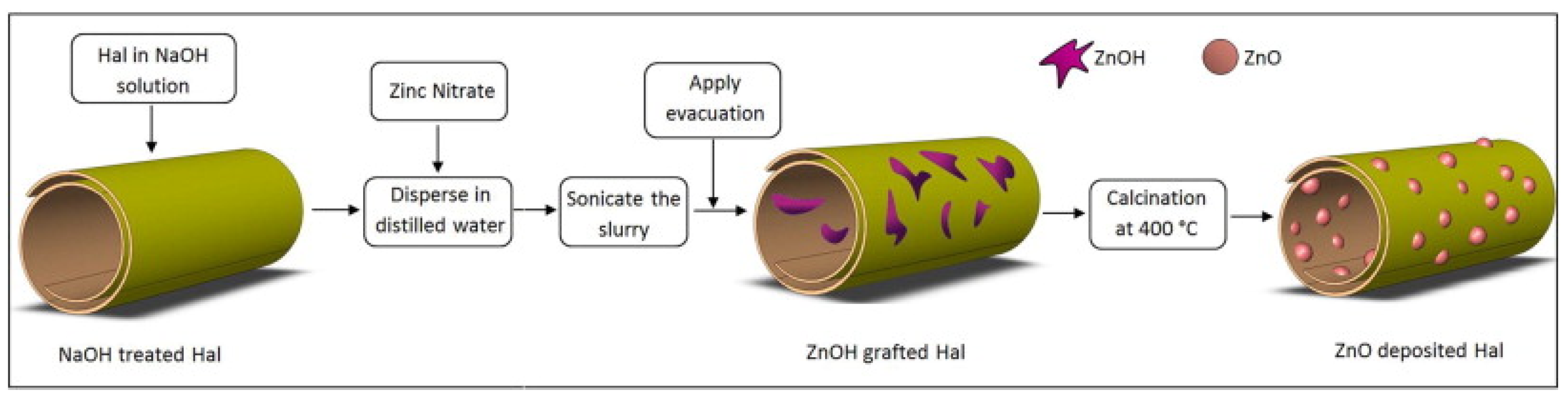 Molecules 25 04863 g006