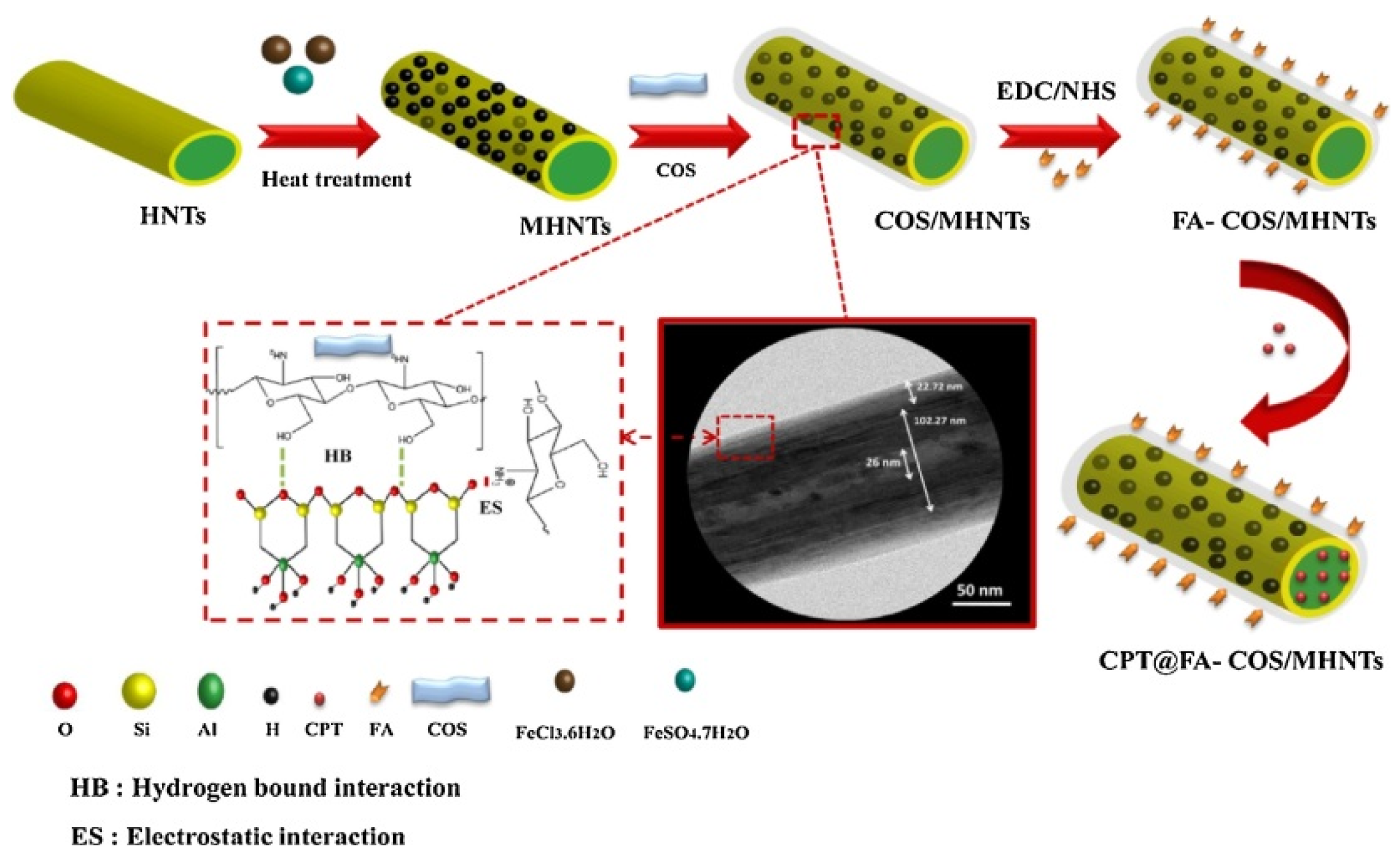 Molecules 25 04863 g007