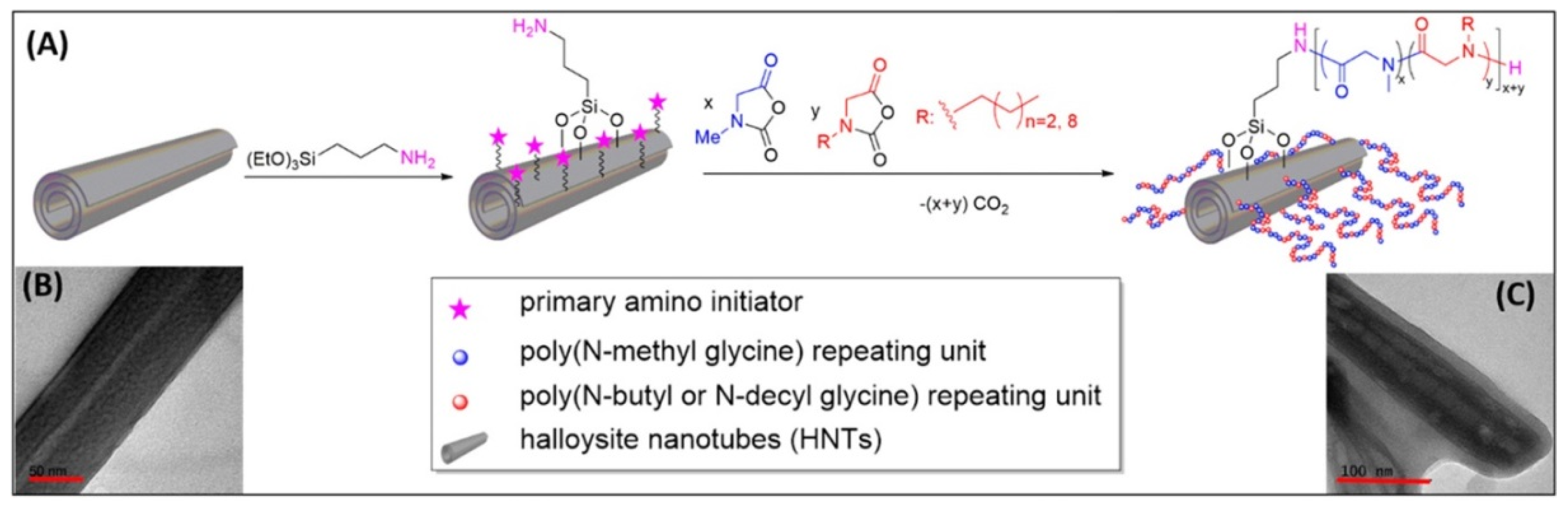 Molecules 25 04863 g010