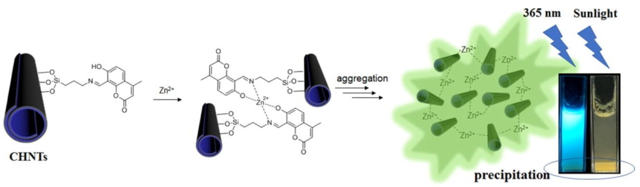 Molecules 25 04863 g011