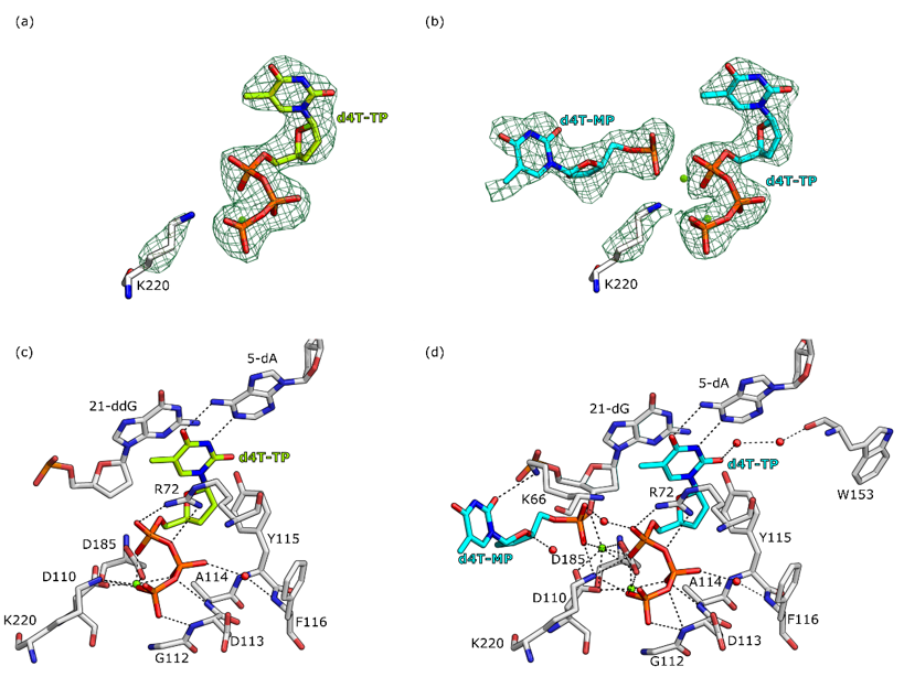 Molecules 25 04868 g003
