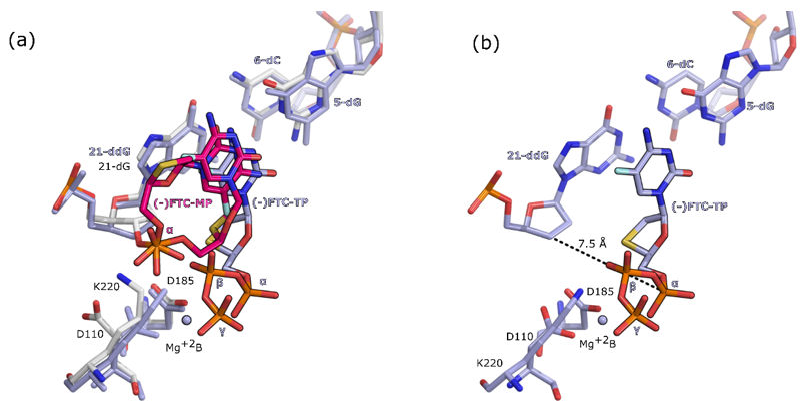 Molecules 25 04868 g004