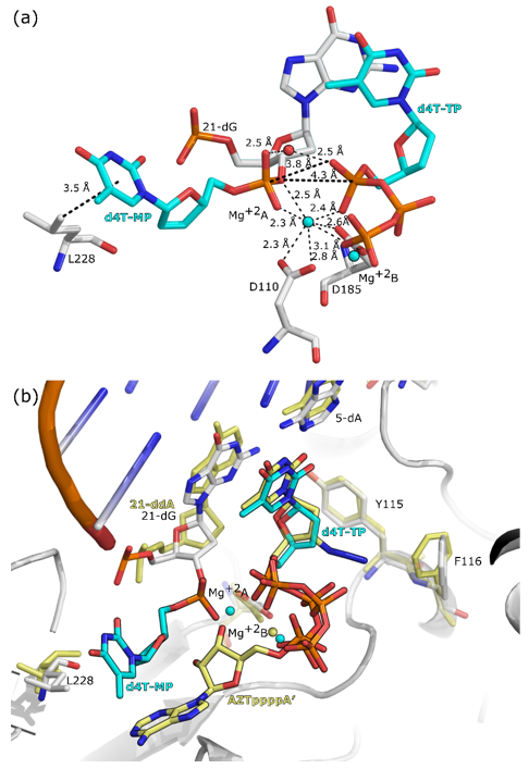 Molecules 25 04868 g006