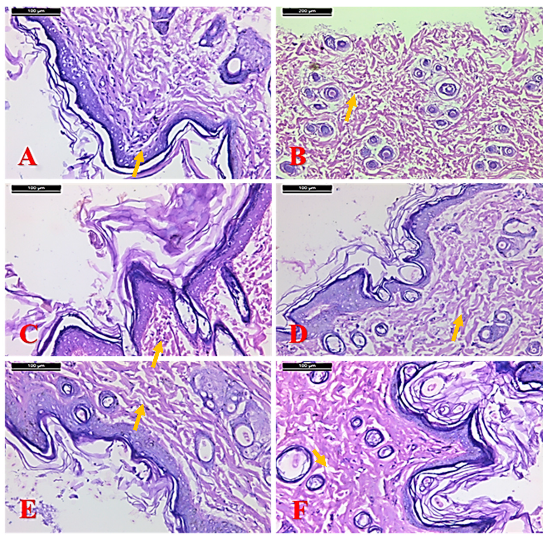 Molecules 25 04870 g003