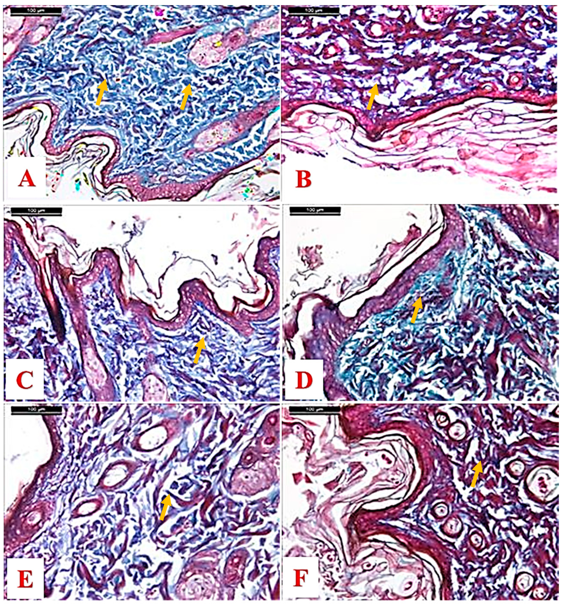 Molecules 25 04870 g004