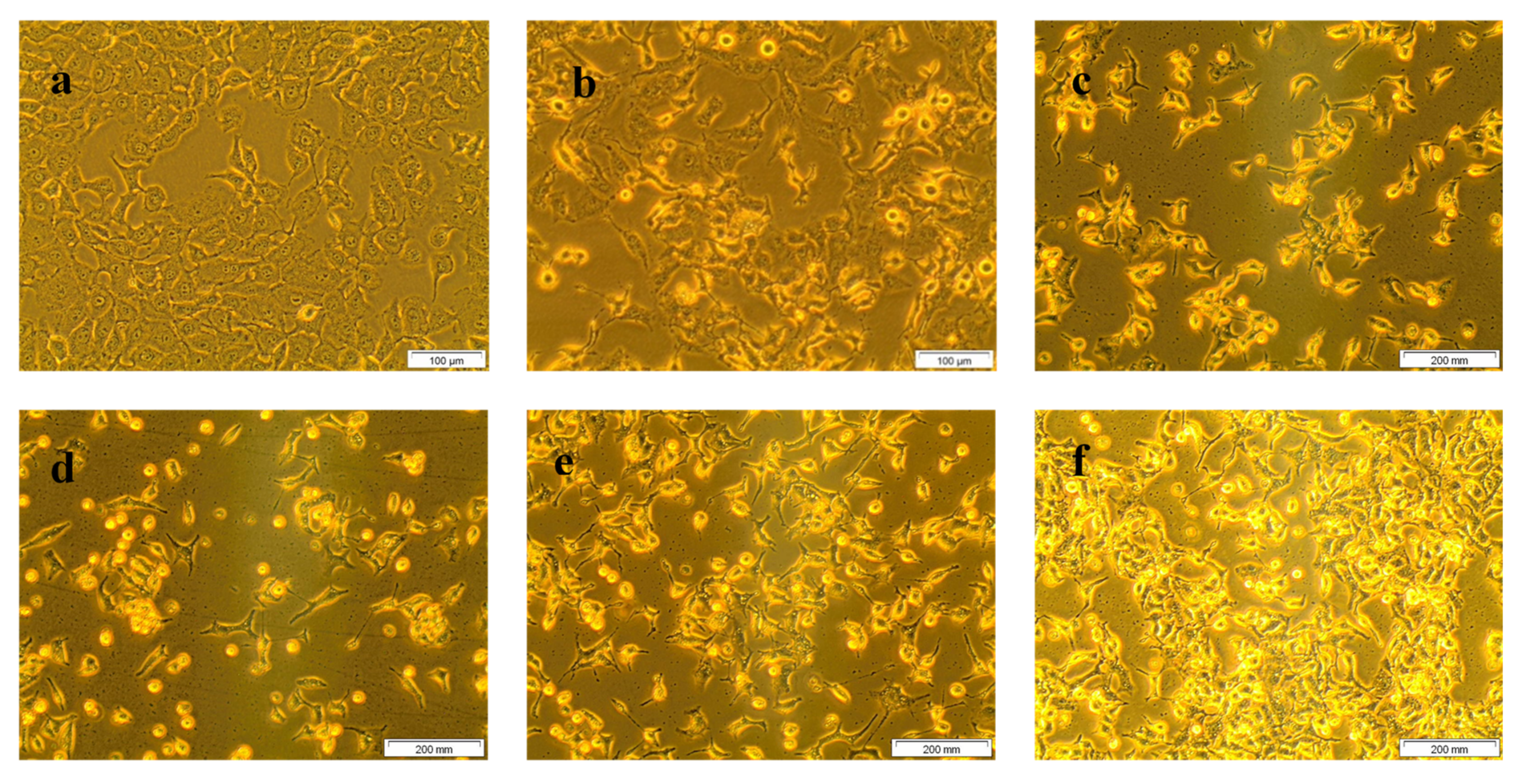 Molecules 25 04874 g002