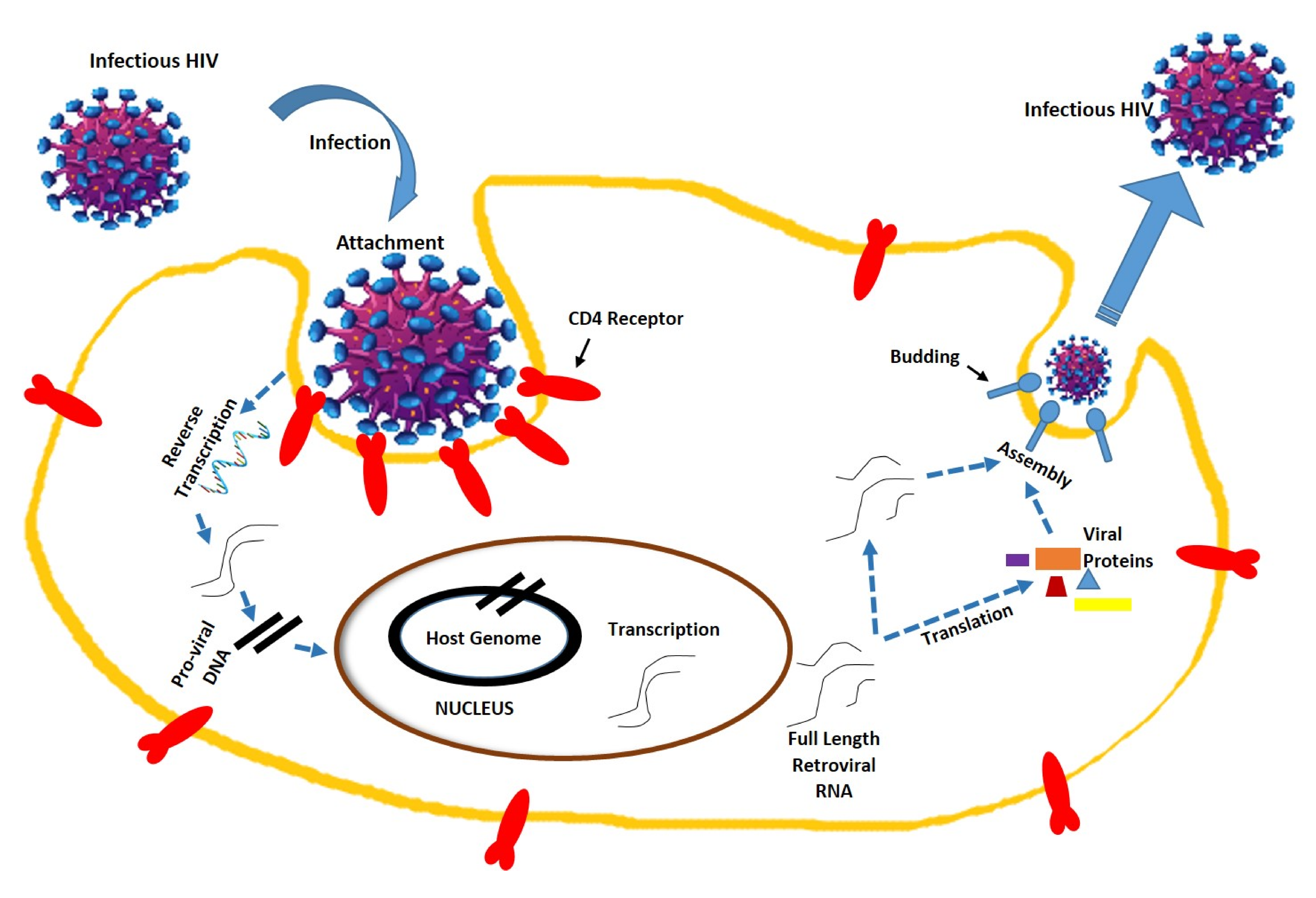 Molecules 25 04878 g001
