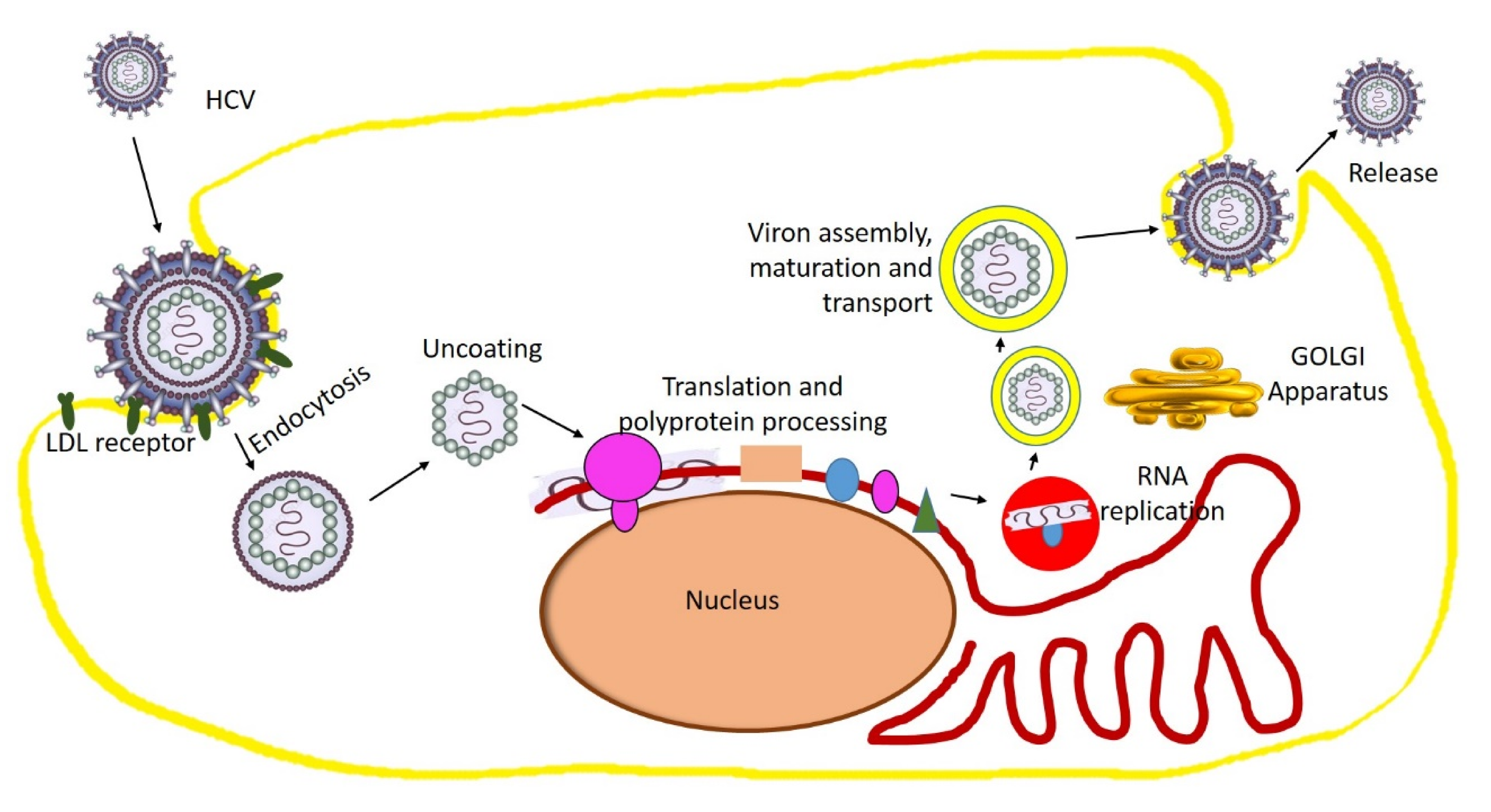 Molecules 25 04878 g004