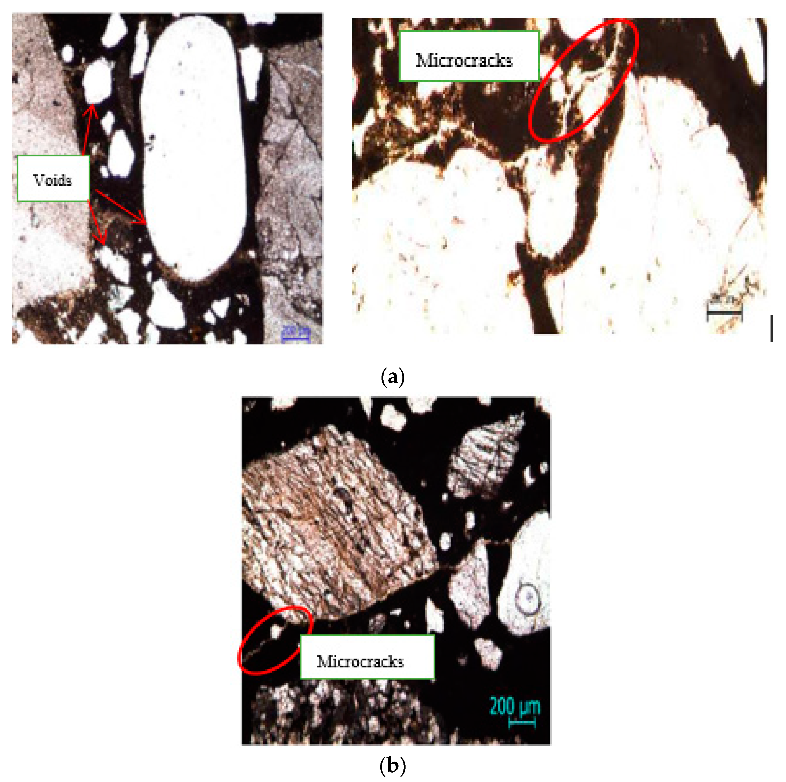 Molecules 25 04880 g008