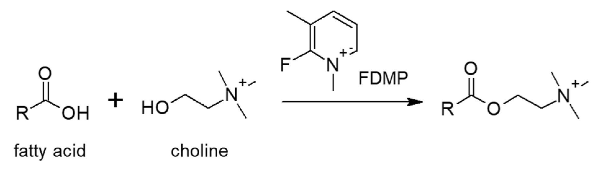 Molecules 25 04883 g003