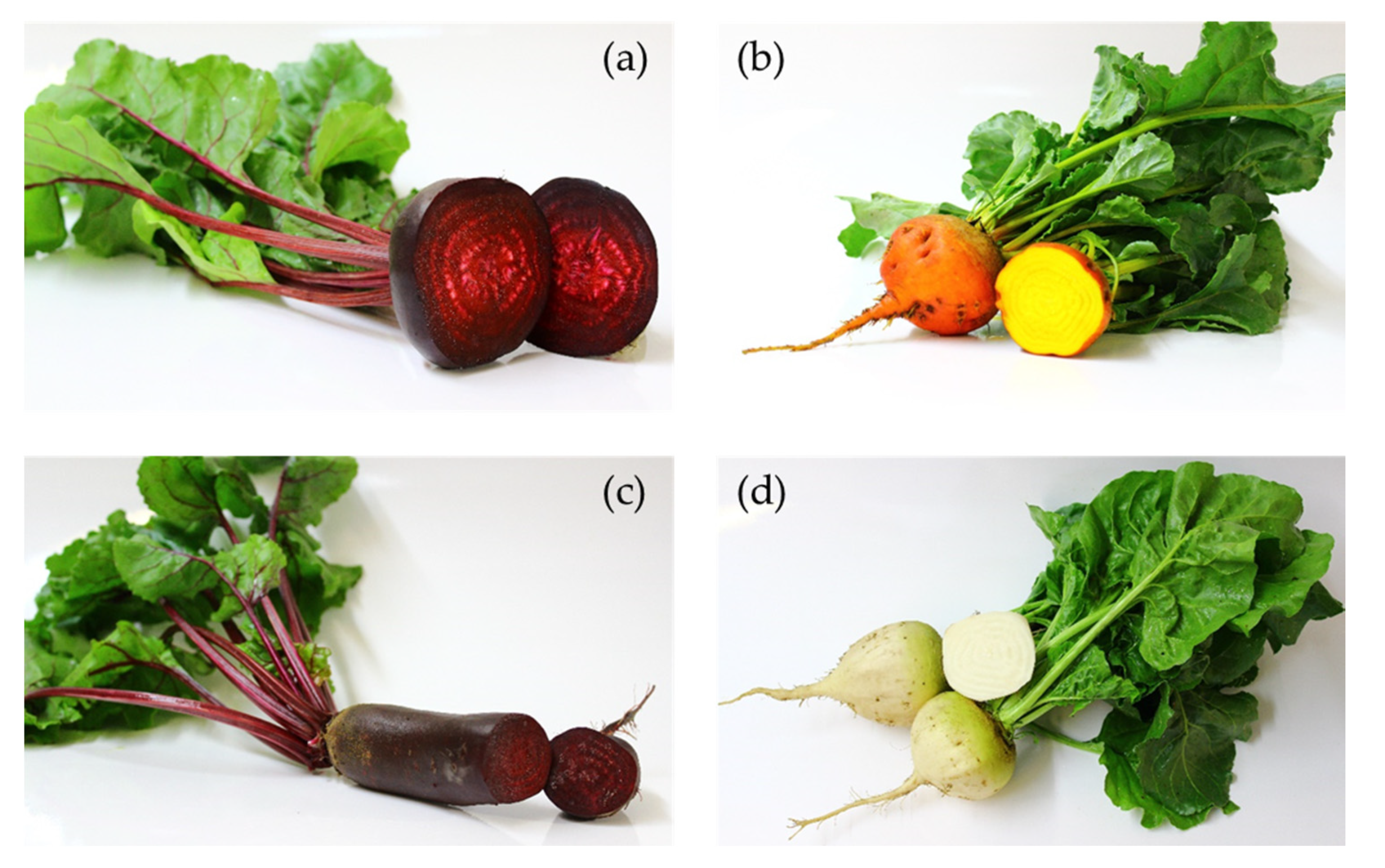 Molecules 25 04884 g002