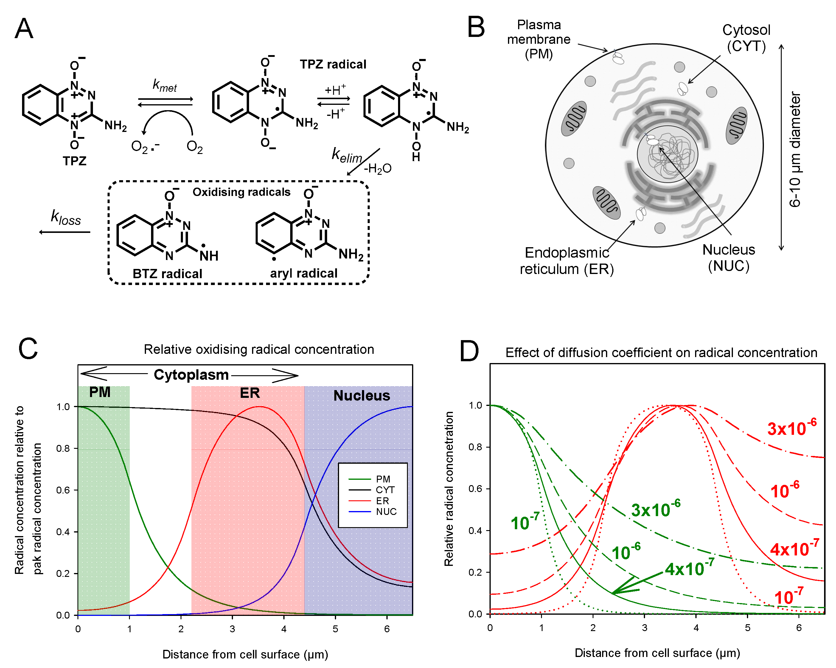 Molecules 25 04888 g001