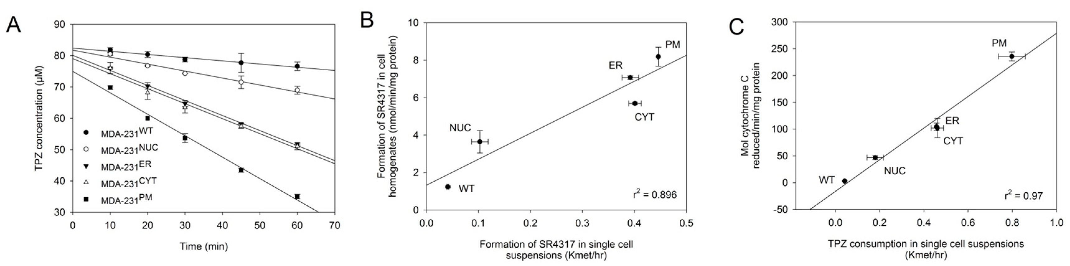 Molecules 25 04888 g003