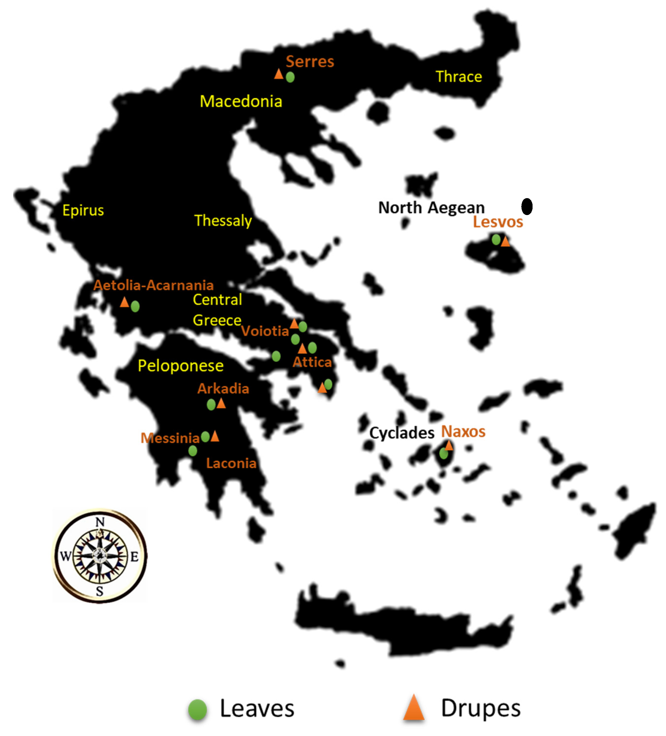 Molecules 25 04889 g001