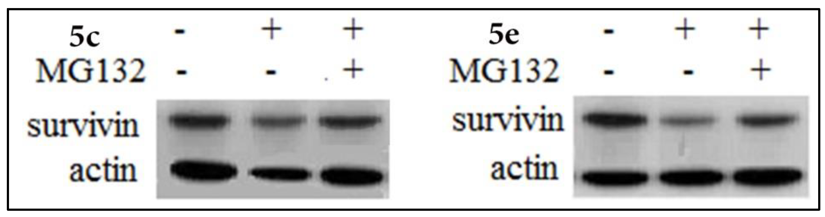 Molecules 25 04892 g007