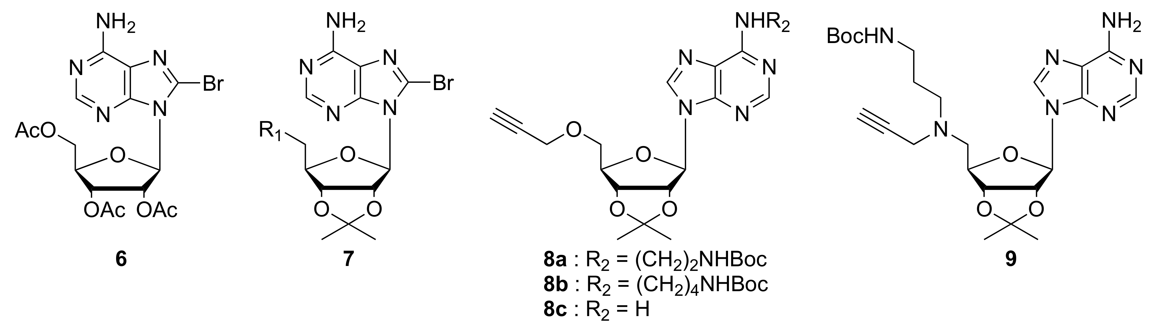 Molecules 25 04893 g003